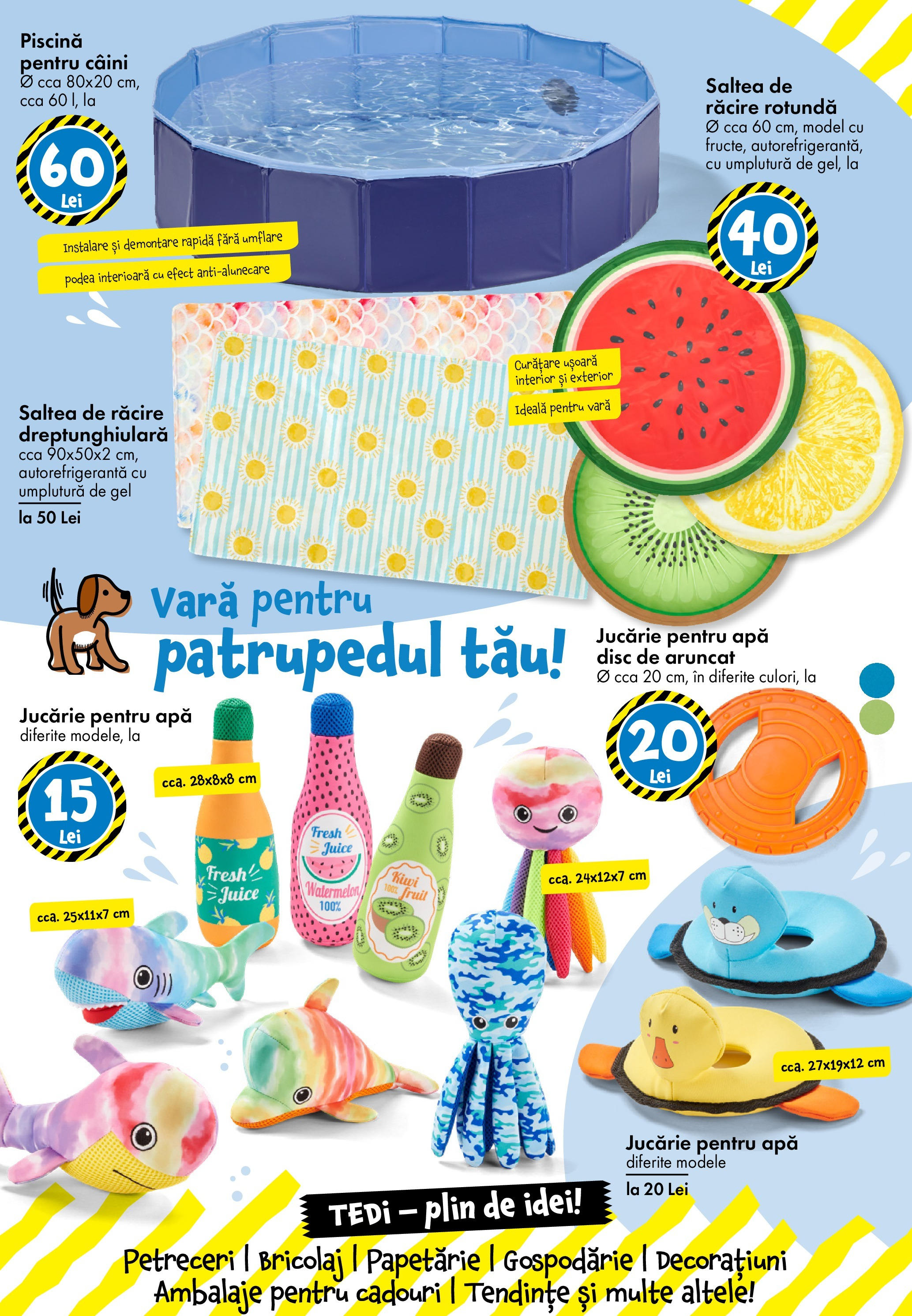 Catalog TEDi 13 - 20 Iunie 2025 | Pagina 24 | Produse: Disc, Saltea, Piscină, Kiwi