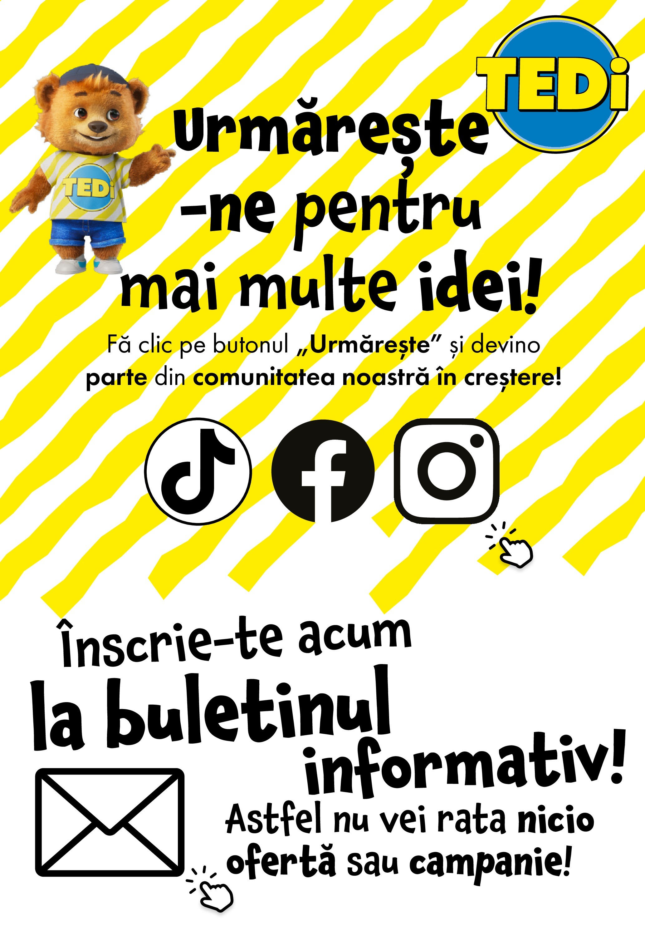 Catalog TEDi 13 - 20 Iunie 2025 | Pagina 8 | Produse: Rață