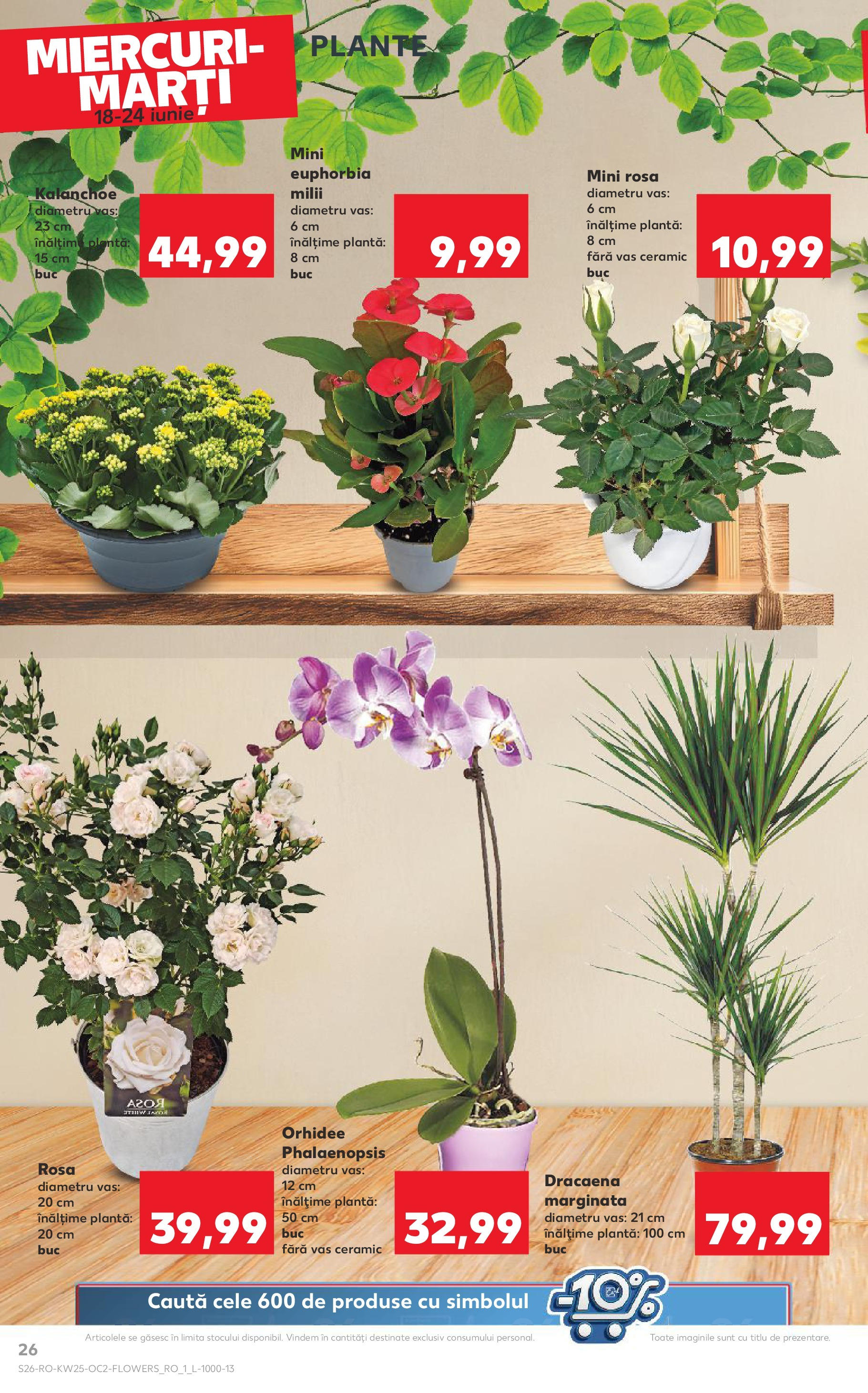 Catalog Kaufland 18 - 23 Iunie 2025 | Pagina 26 | Produse: Orhidee