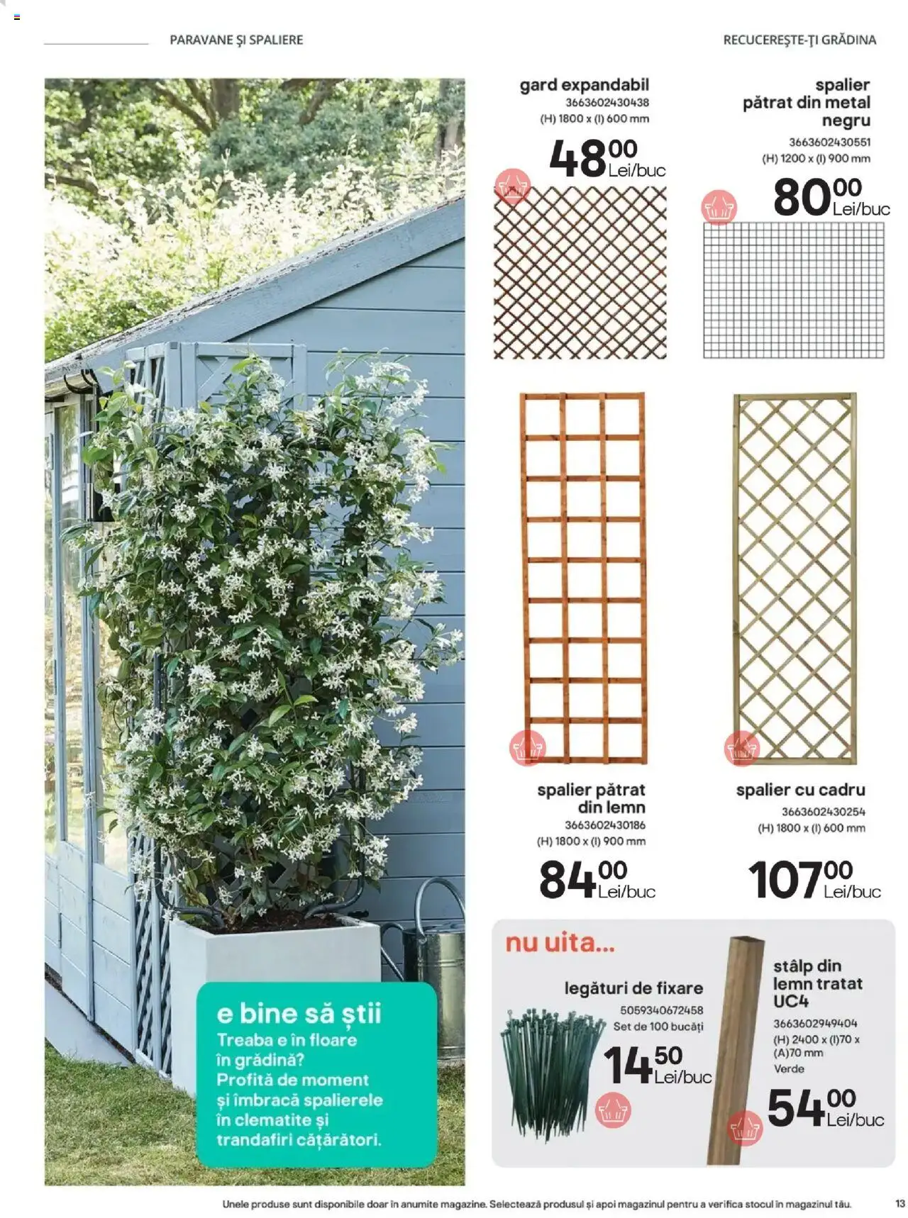 Catalog Brico Depot 23 Mai - 30 Octombrie 2025 | Pagina 13
