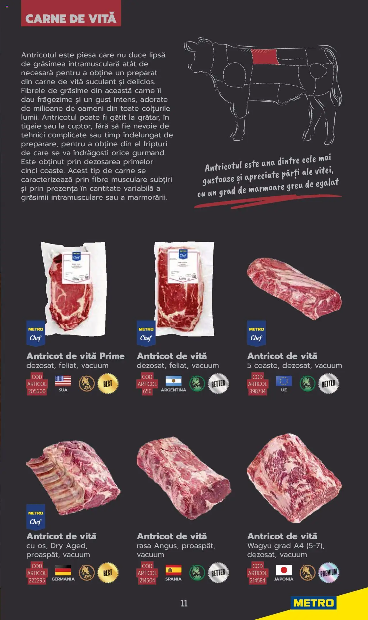 Catalog METRO 3 Iunie 2025 - 30 Mai 2026 | Pagina 11