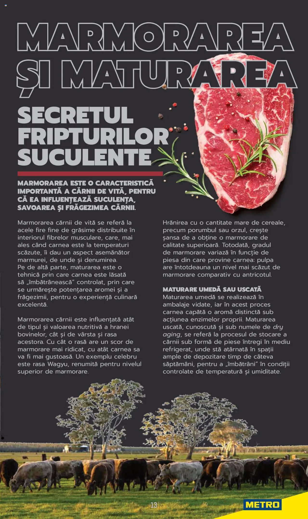 Catalog METRO 3 Iunie 2025 - 30 Mai 2026 | Pagina 13