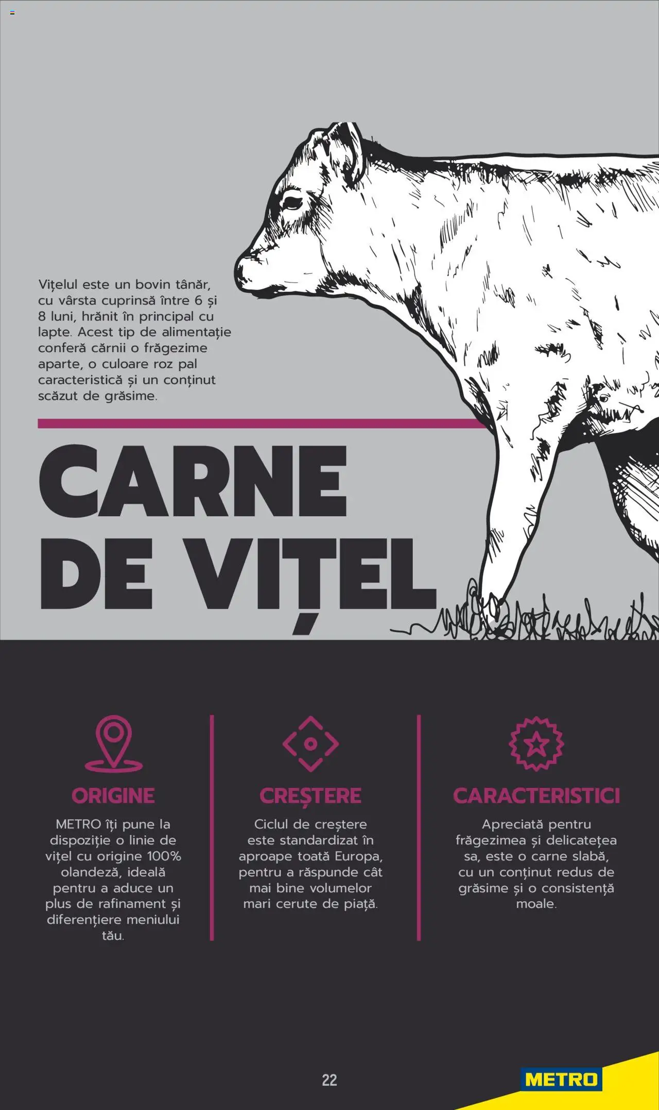Catalog METRO 3 Iunie 2025 - 30 Mai 2026 | Pagina 22