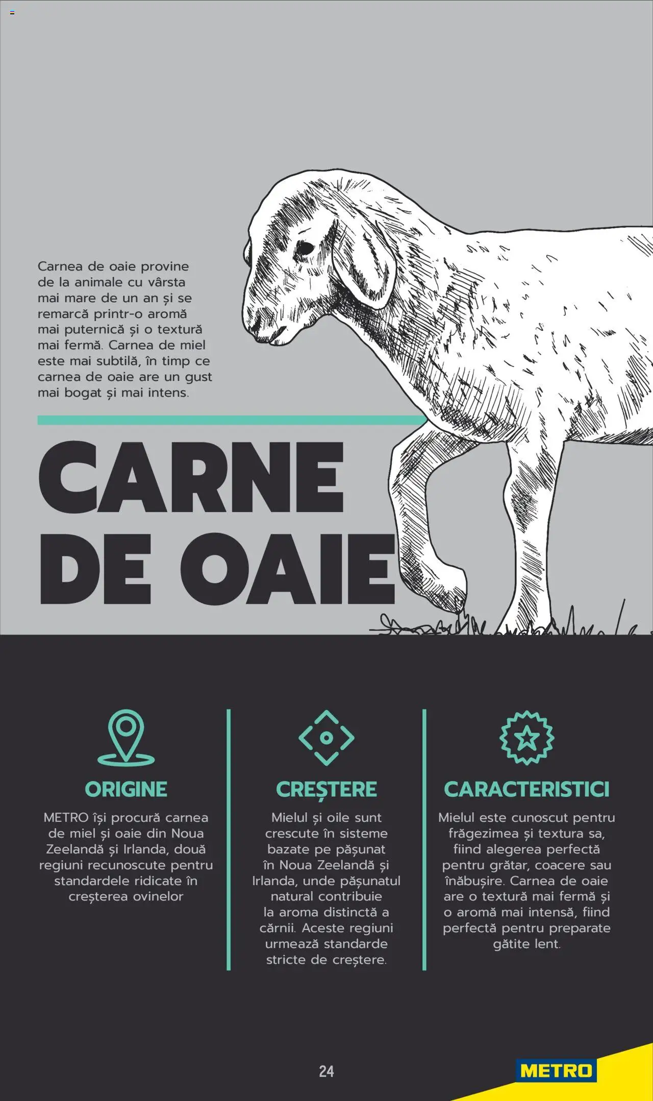 Catalog METRO 3 Iunie 2025 - 30 Mai 2026 | Pagina 24