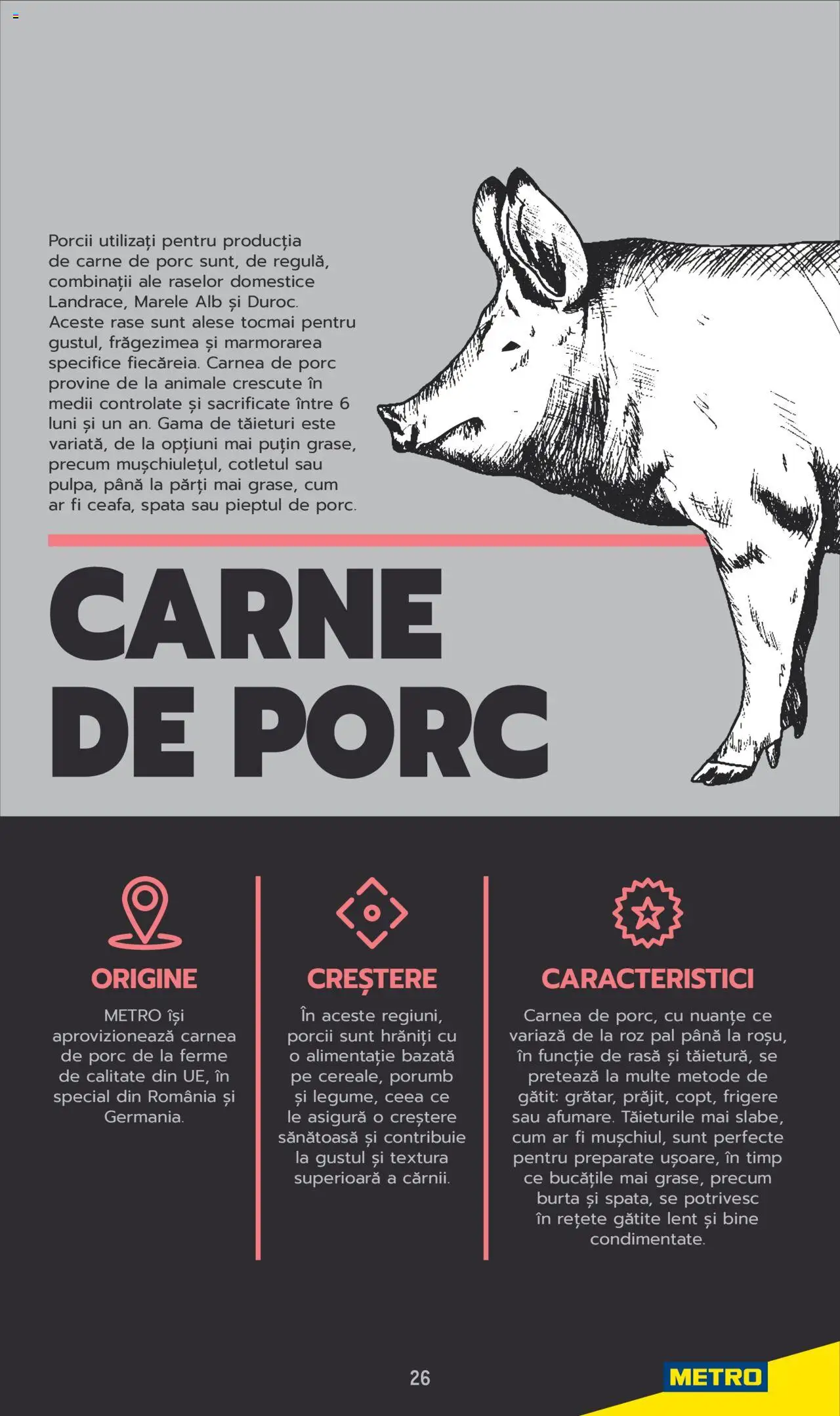 Catalog METRO 3 Iunie 2025 - 30 Mai 2026 | Pagina 26