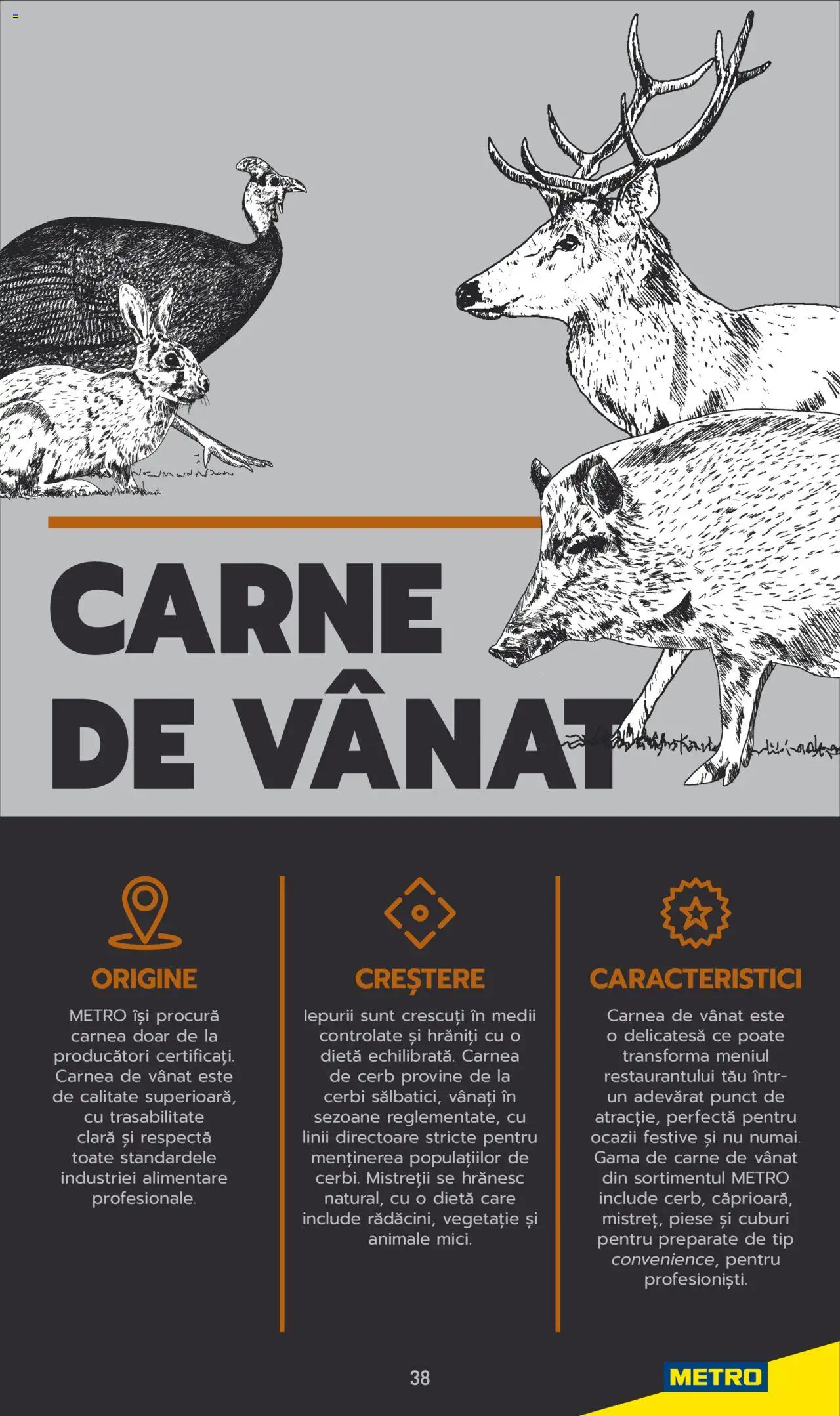 Catalog METRO 3 Iunie 2025 - 30 Mai 2026 | Pagina 38