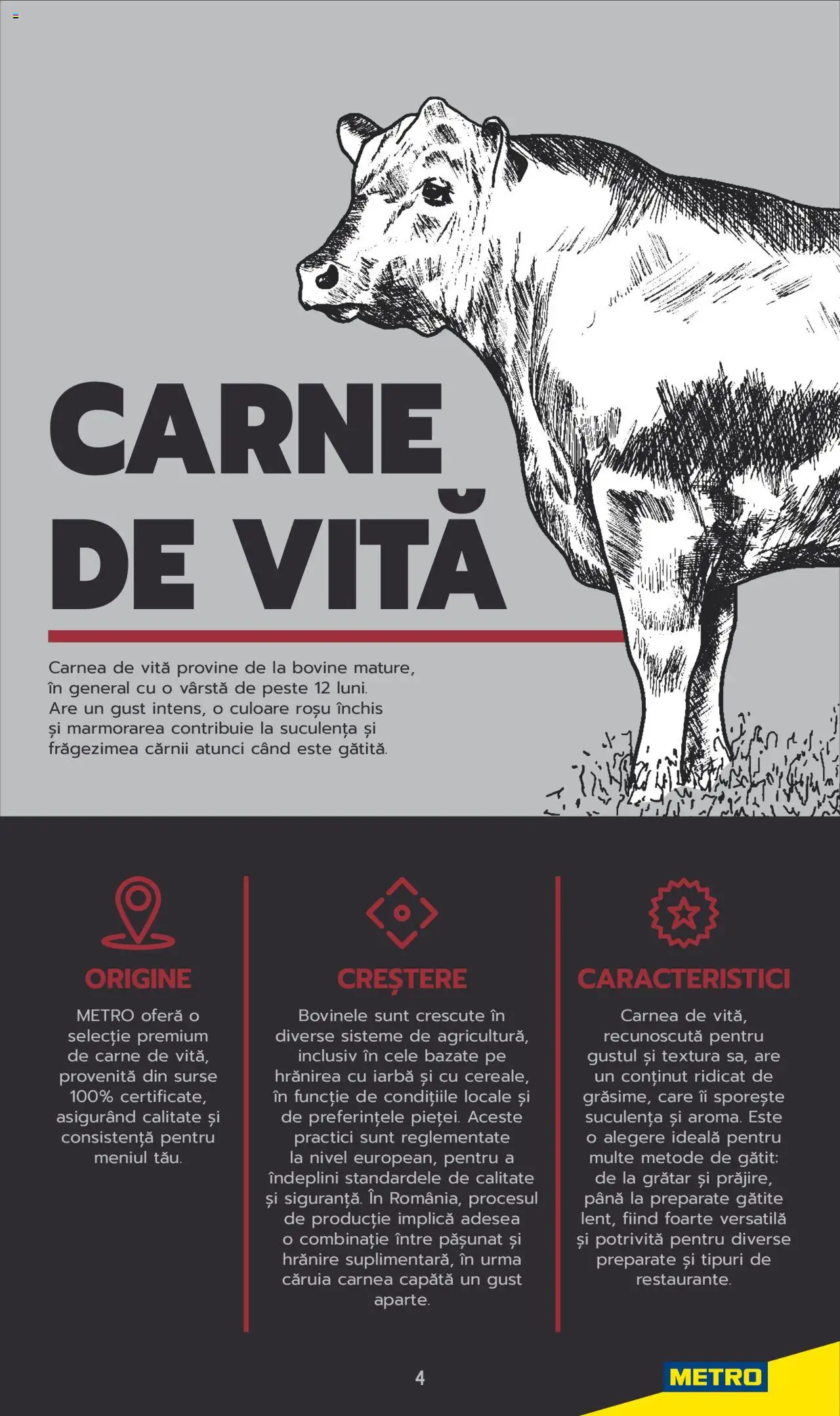 Catalog METRO 3 Iunie 2025 - 30 Mai 2026 | Pagina 4