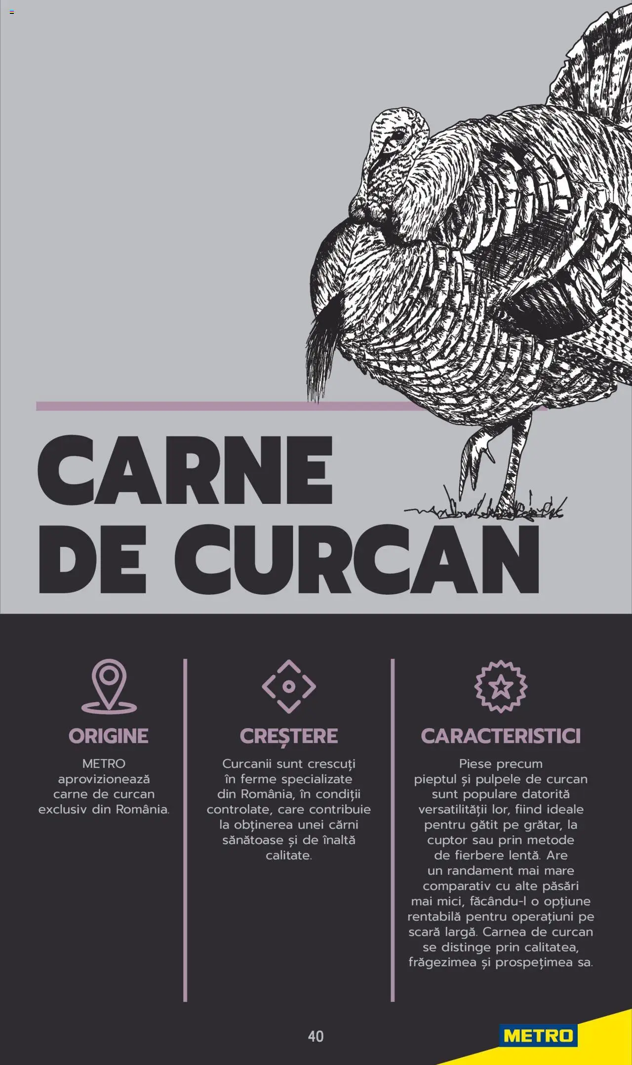 Catalog METRO 3 Iunie 2025 - 30 Mai 2026 | Pagina 40