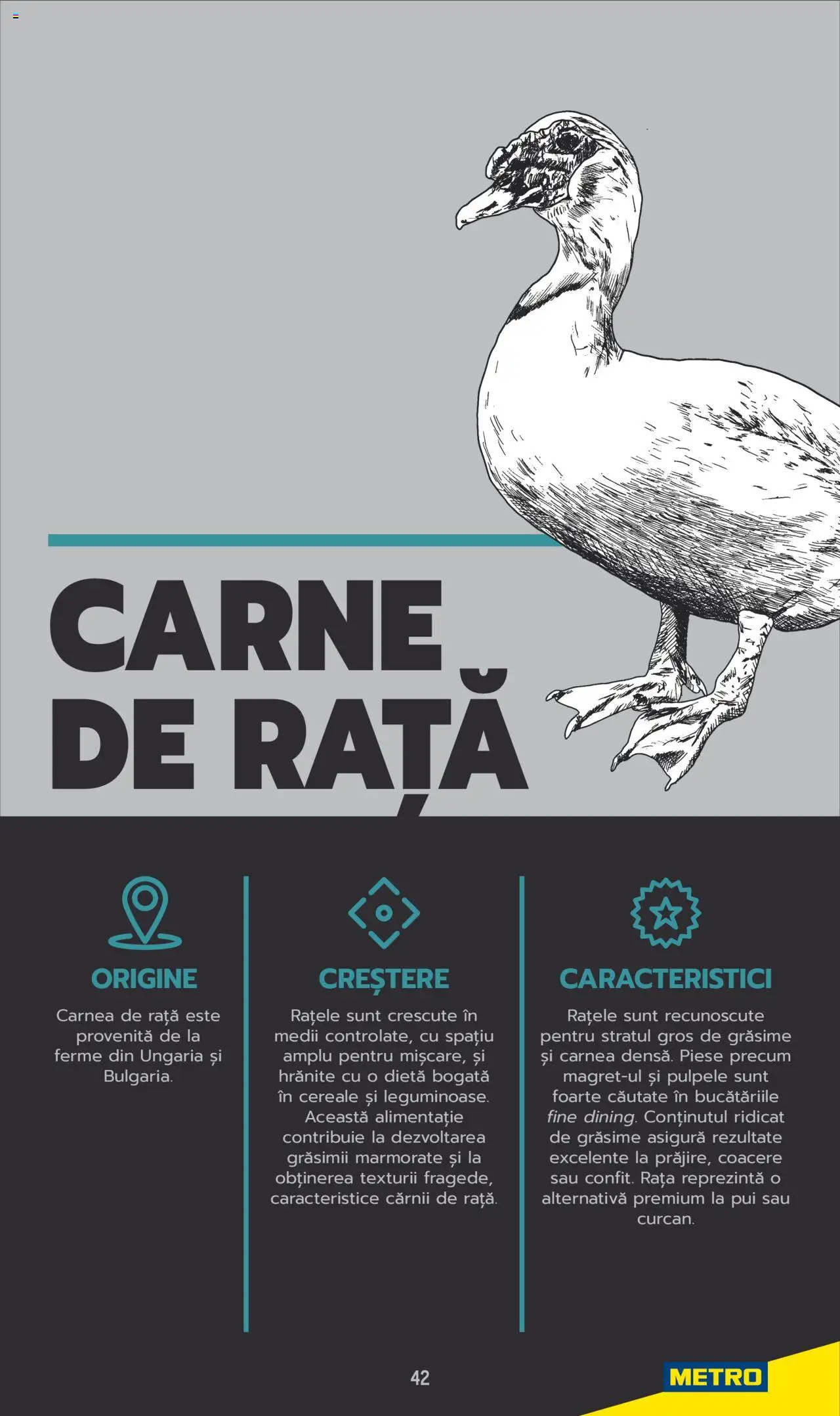 Catalog METRO 3 Iunie 2025 - 30 Mai 2026 | Pagina 42
