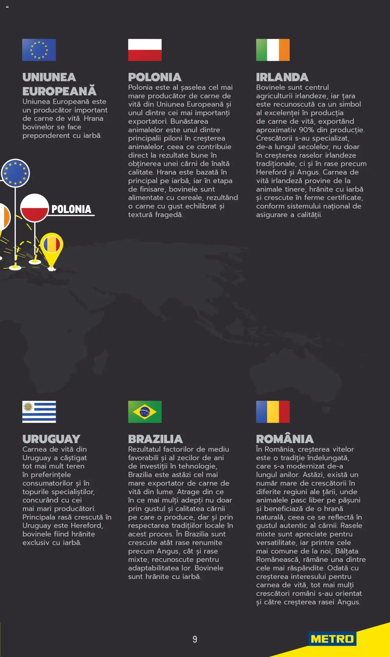 Catalog METRO 3 Iunie 2025 - 30 Mai 2026 | Pagina 9