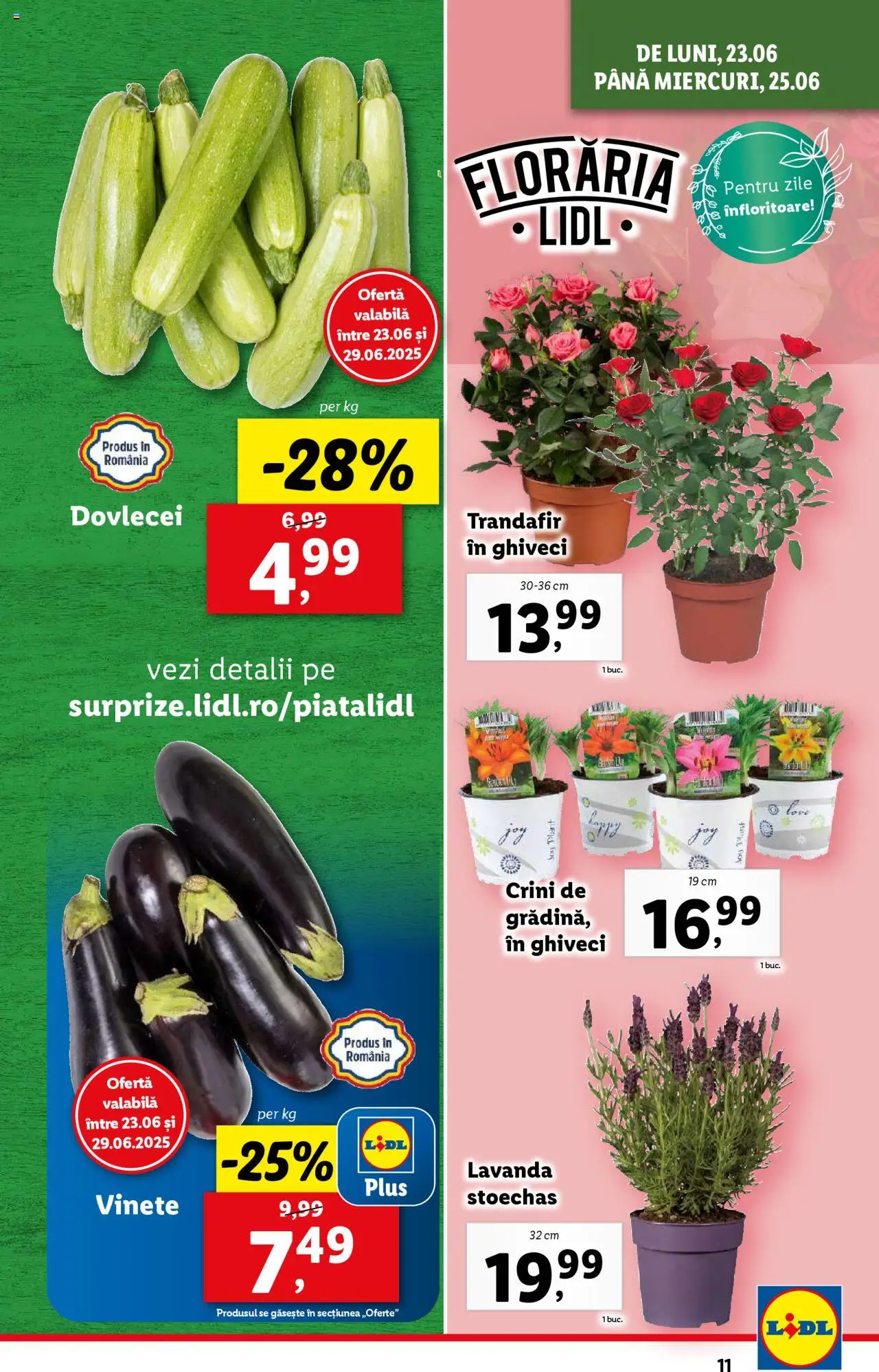 Catalog LIDL 23 - 28 Iunie 2025 | Pagina 11
