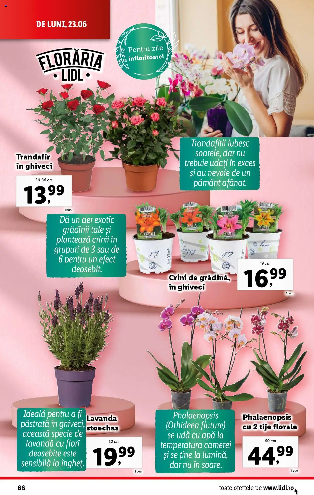Catalog LIDL 23 - 28 Iunie 2025 | Pagina 66