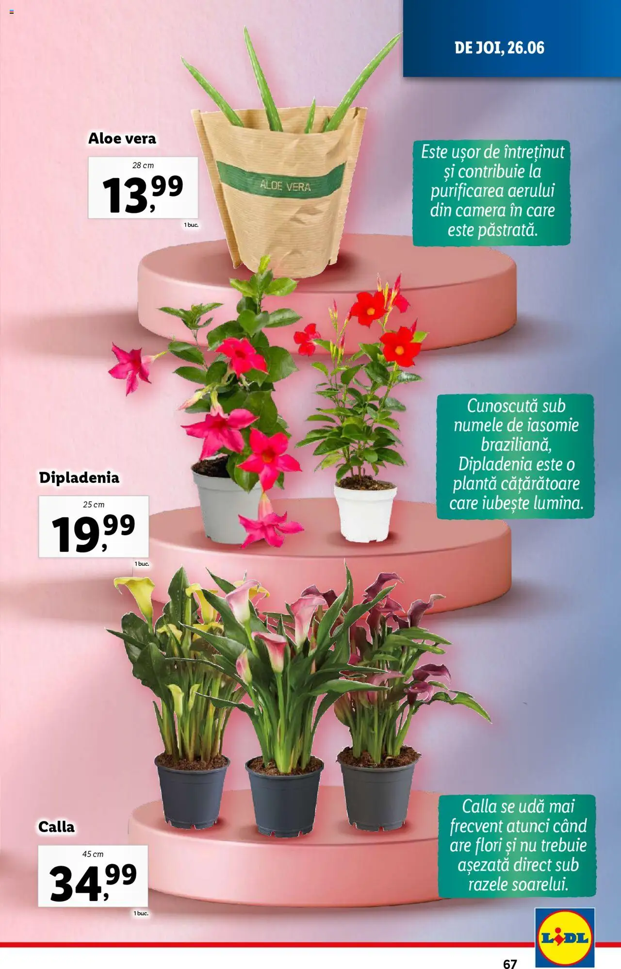 Catalog LIDL 23 - 28 Iunie 2025 | Pagina 67
