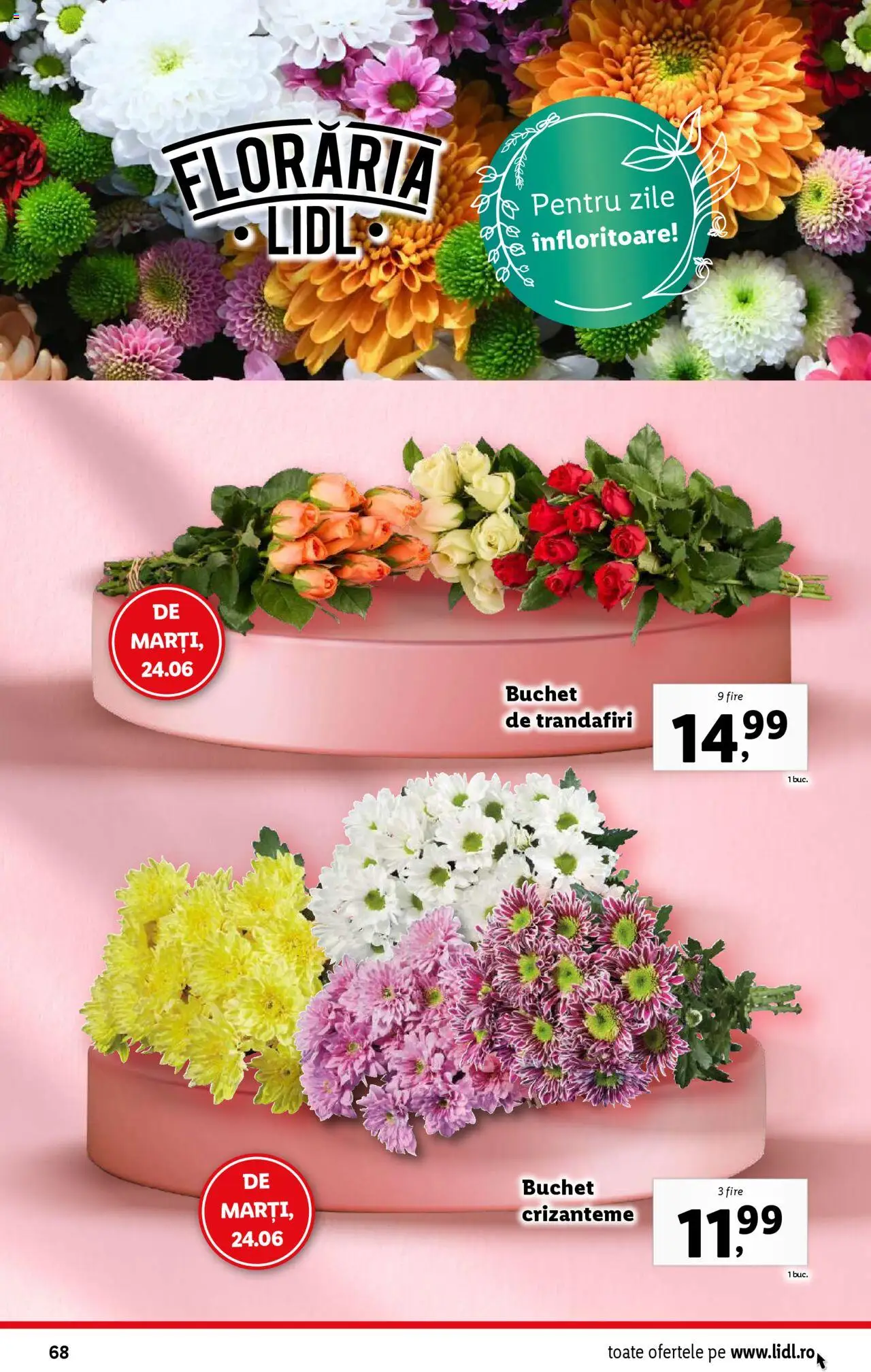 Catalog LIDL 23 - 28 Iunie 2025 | Pagina 68