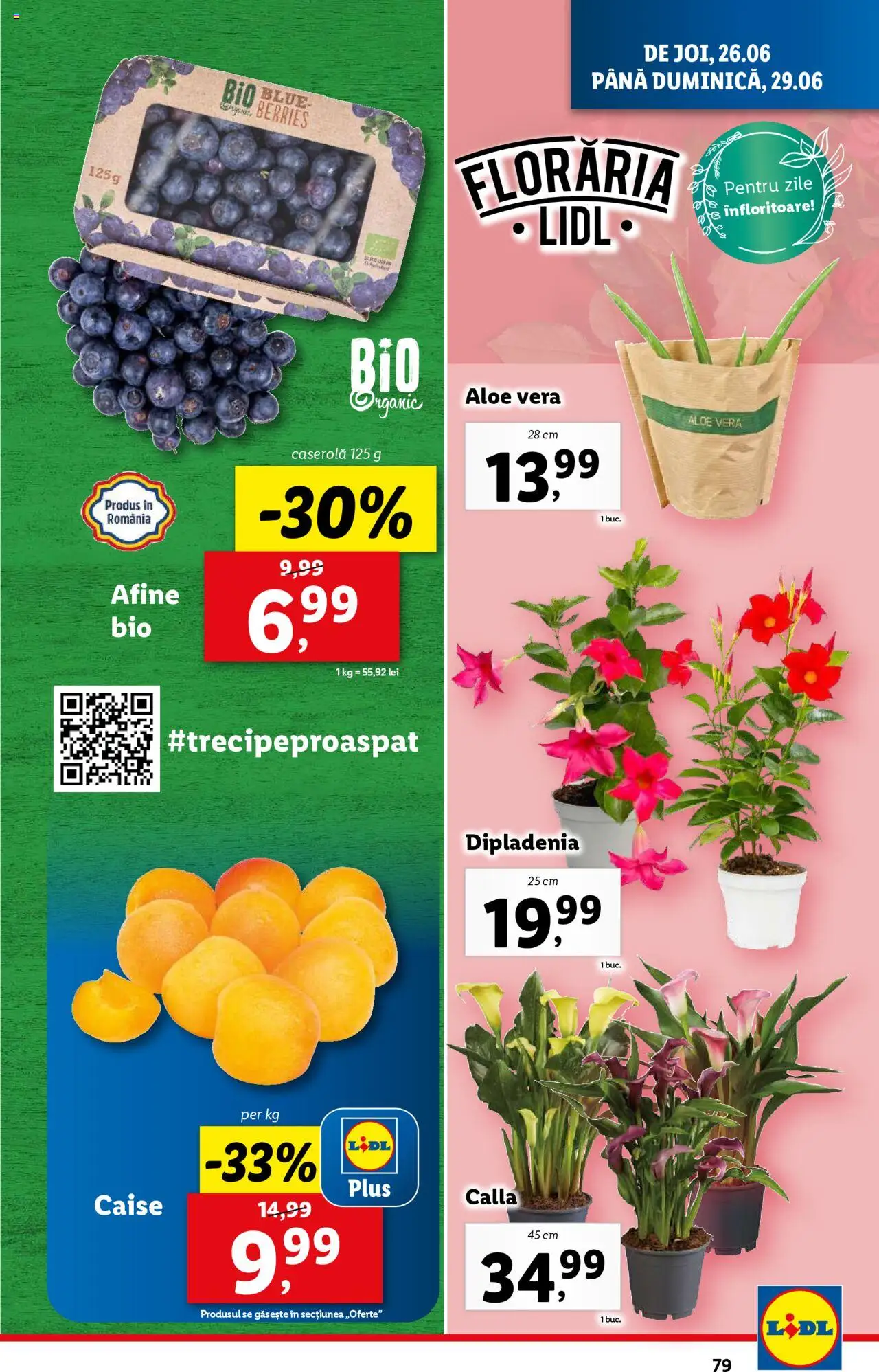 Catalog LIDL 23 - 28 Iunie 2025 | Pagina 79