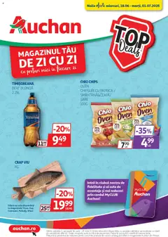 Catalog Auchan