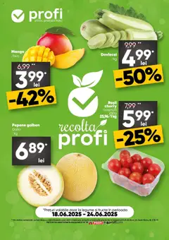 Catalog Profi