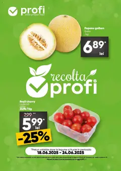 Catalog Profi