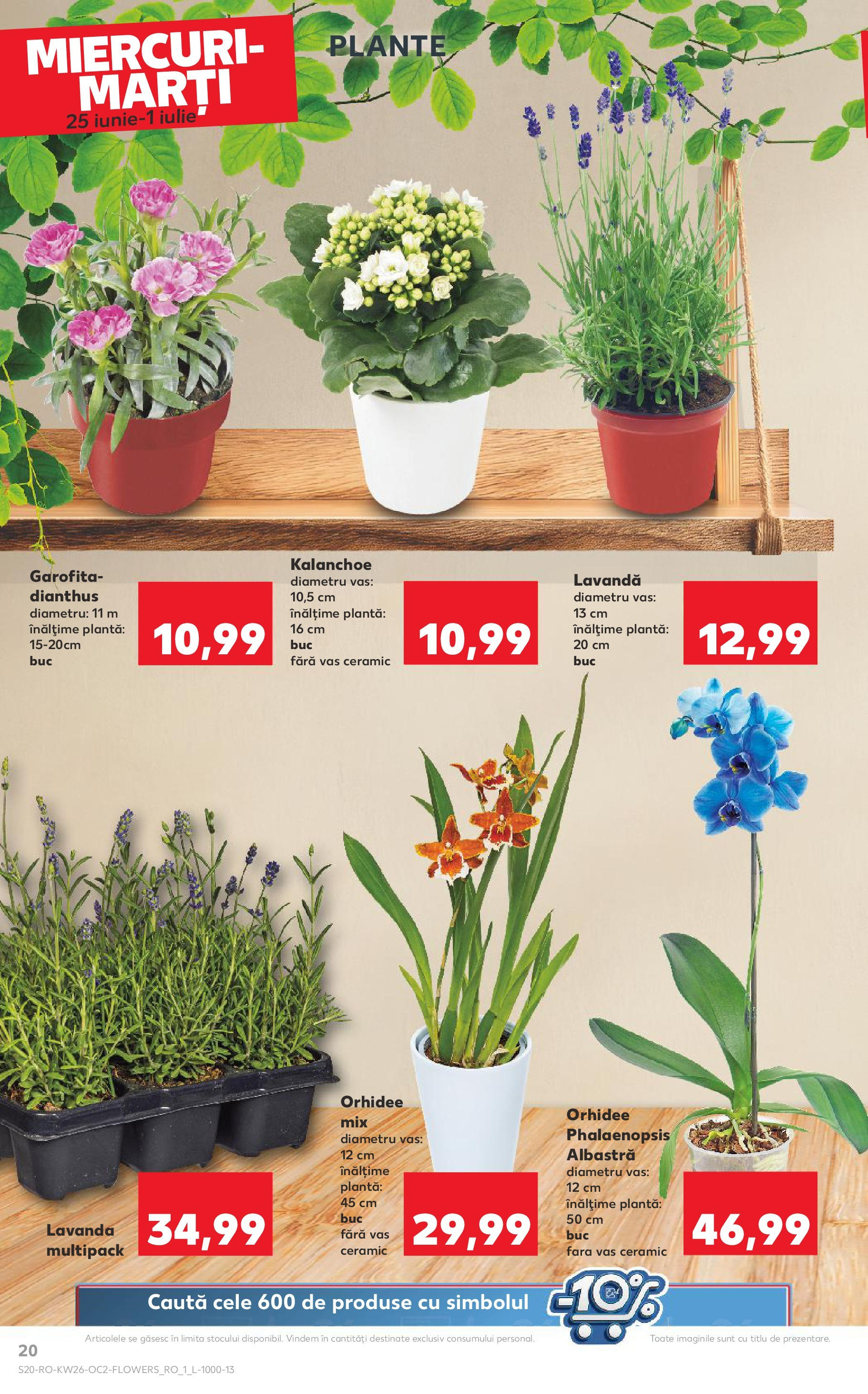 Catalog Kaufland 25 - 30 Iunie 2025 | Pagina 20 | Produse: Orhidee