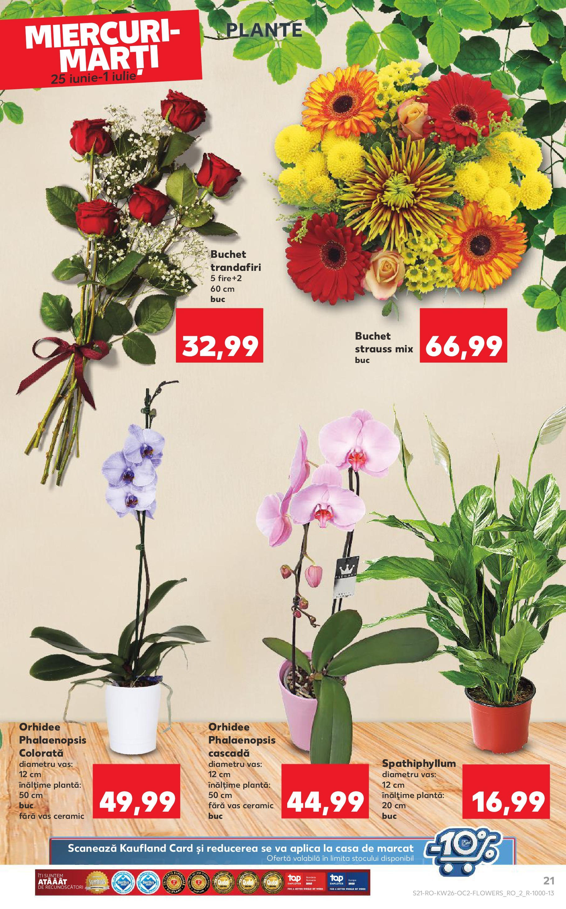 Catalog Kaufland 25 - 30 Iunie 2025 | Pagina 21 | Produse: Orhidee