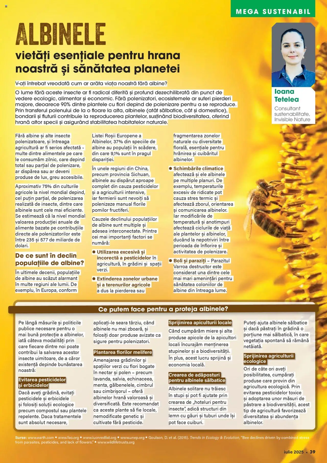 Catalog Mega Image 26 Iunie - 21 Iulie 2025 | Pagina 39 | Produse: Duș, Roșii