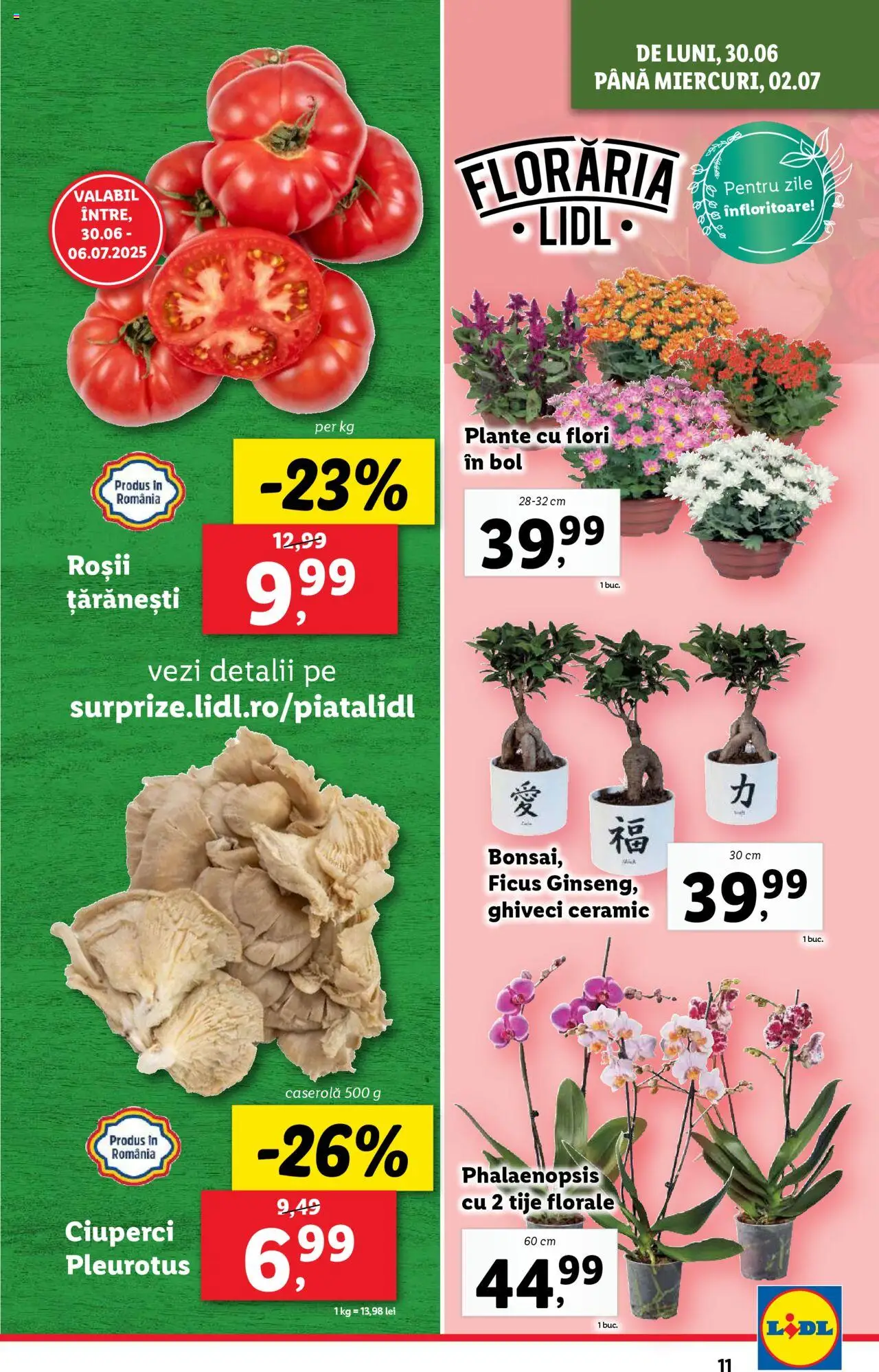 Catalog LIDL 30 Iunie - 5 Iulie 2025 | Pagina 11 | Produse: Bol, Ghiveci, Ciuperci, Roșii