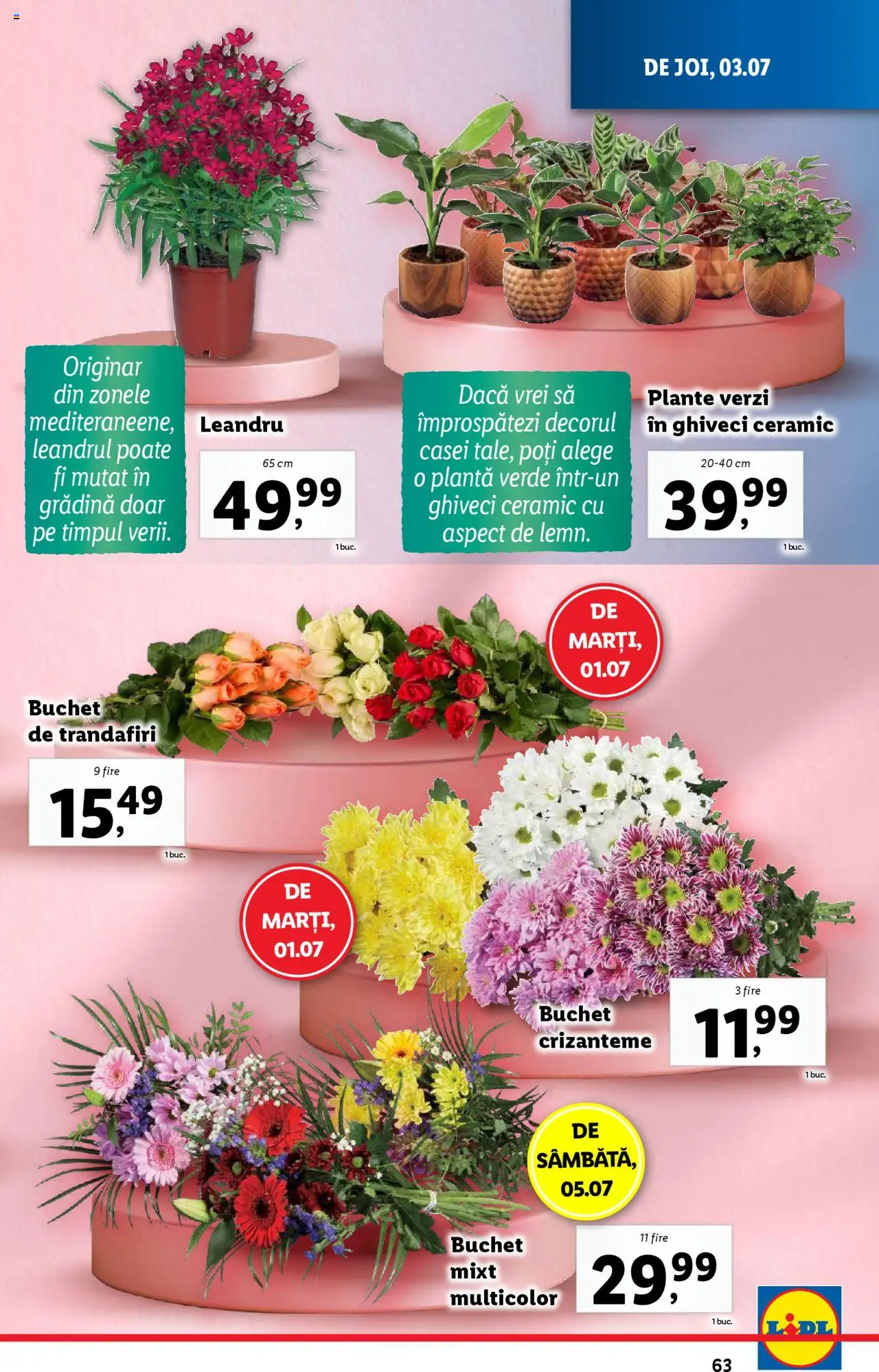 Catalog LIDL 30 Iunie - 5 Iulie 2025 | Pagina 63 | Produse: Ghiveci