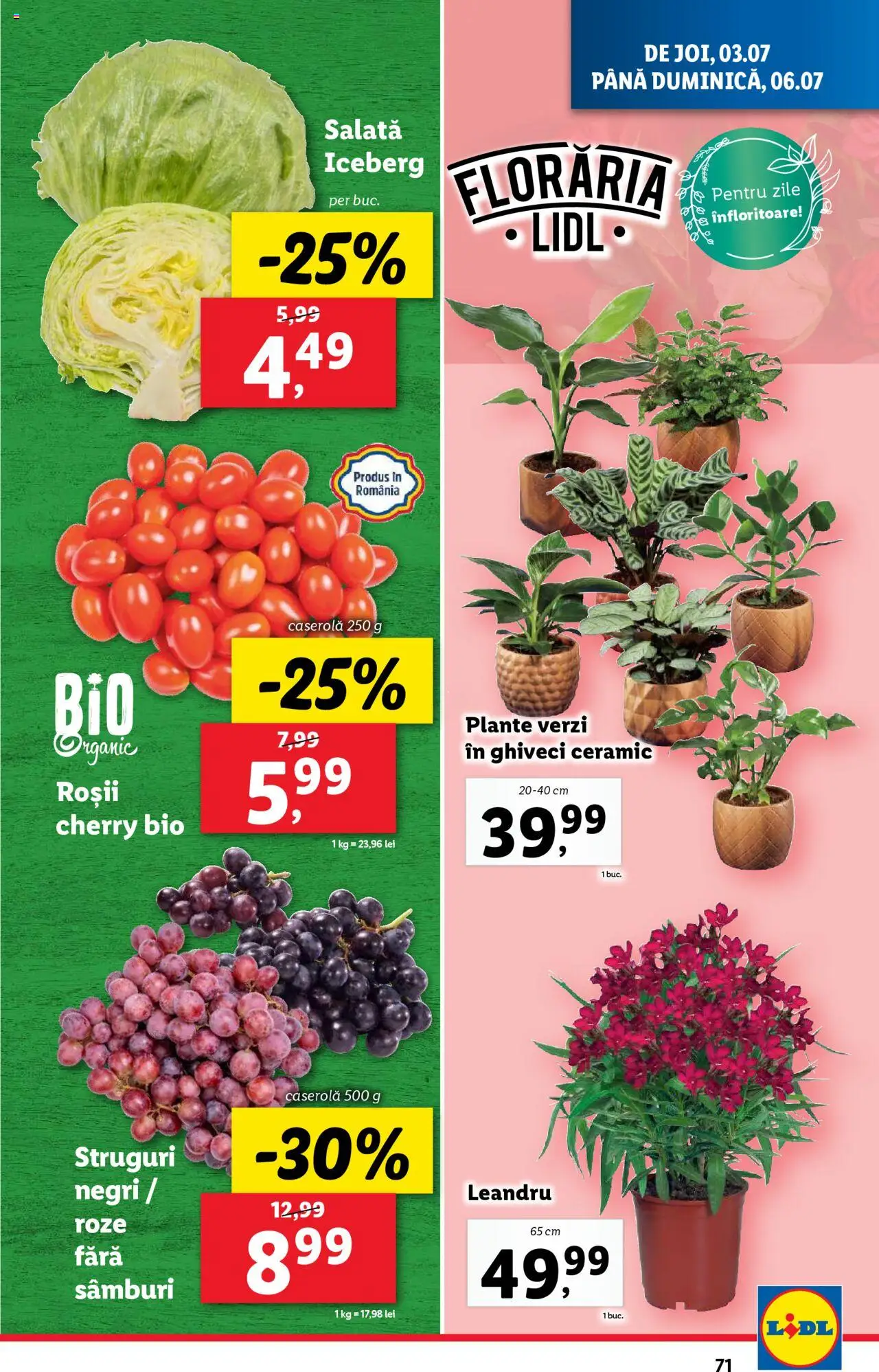Catalog LIDL 30 Iunie - 5 Iulie 2025 | Pagina 71 | Produse: Struguri, Ghiveci, Roșii, Salată