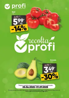 Catalog Profi