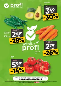Catalog Profi