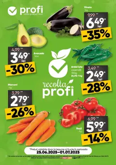 Catalog Profi