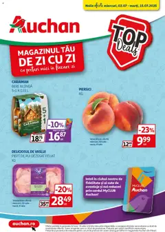 Catalog Auchan