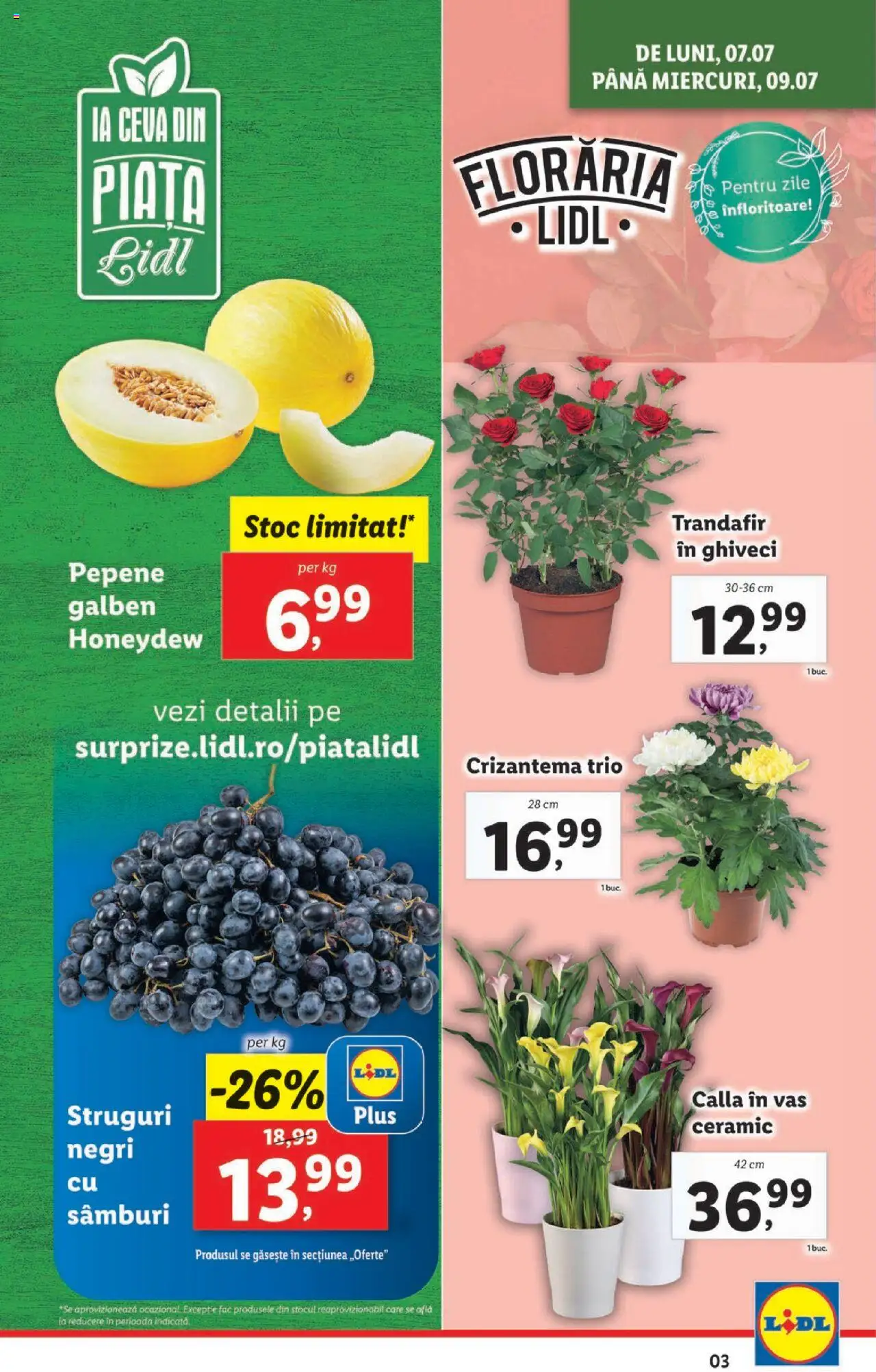 Catalog LIDL 7 - 12 Iulie 2025 | Pagina 3 | Produse: Struguri, Trandafir, Ghiveci
