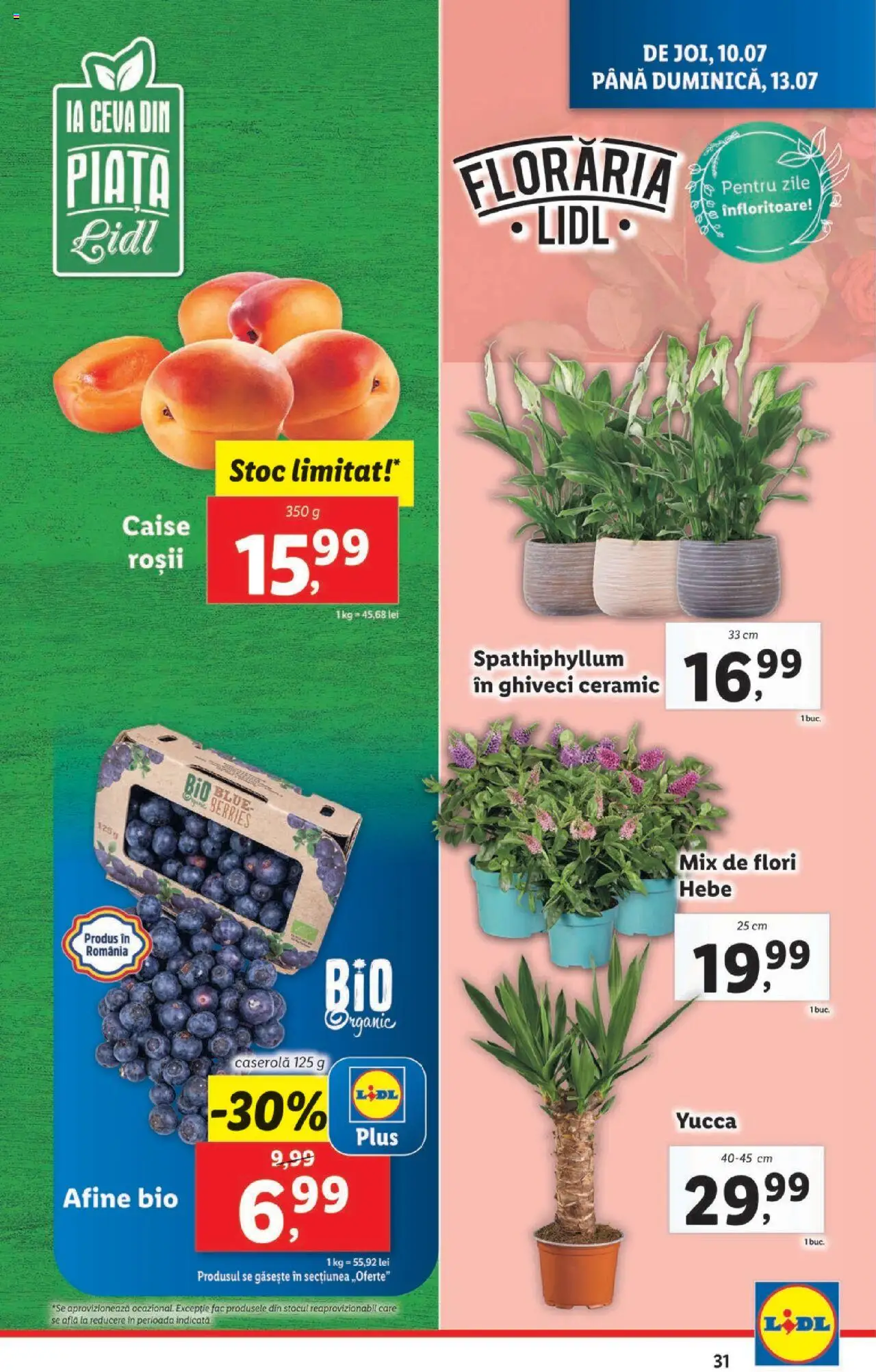 Catalog LIDL 7 - 12 Iulie 2025 | Pagina 31 | Produse: Şerit ödül, Afine, Roșii, Ahtapot
