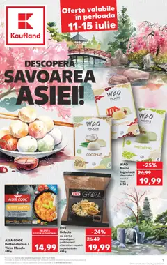 Catalog Kaufland