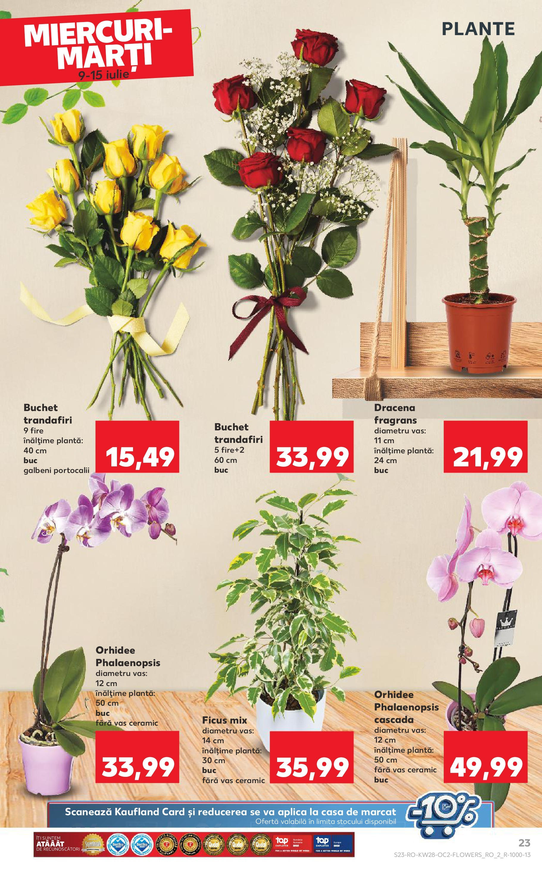 Catalog Kaufland 9 - 14 Iulie 2025 | Pagina 23 | Produse: Orhidee