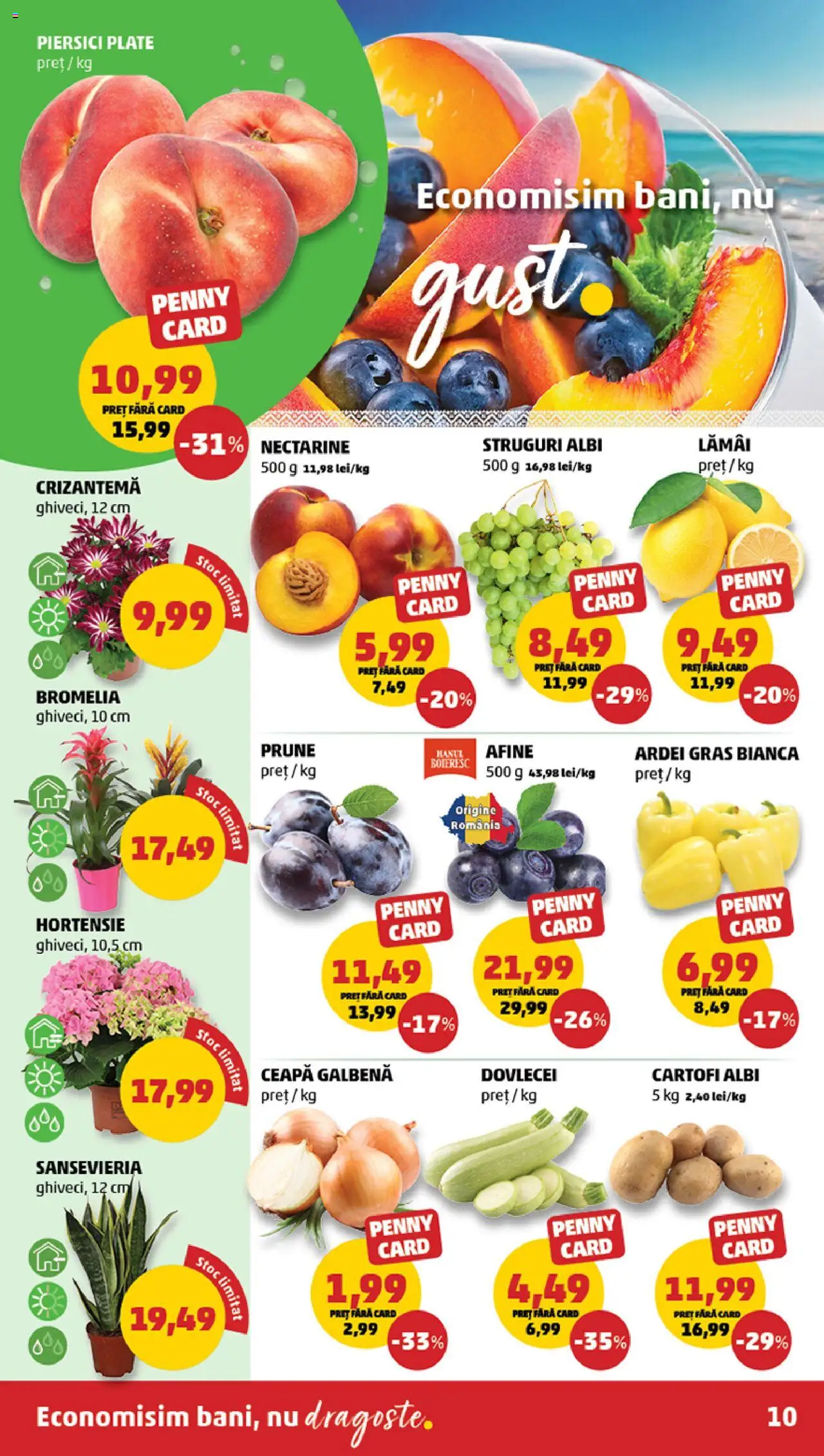 Catalog PENNY Market 9 - 14 Iulie 2025 | Pagina 10 | Produse: Afine, Ceapă galbenă, Ardei, Prune