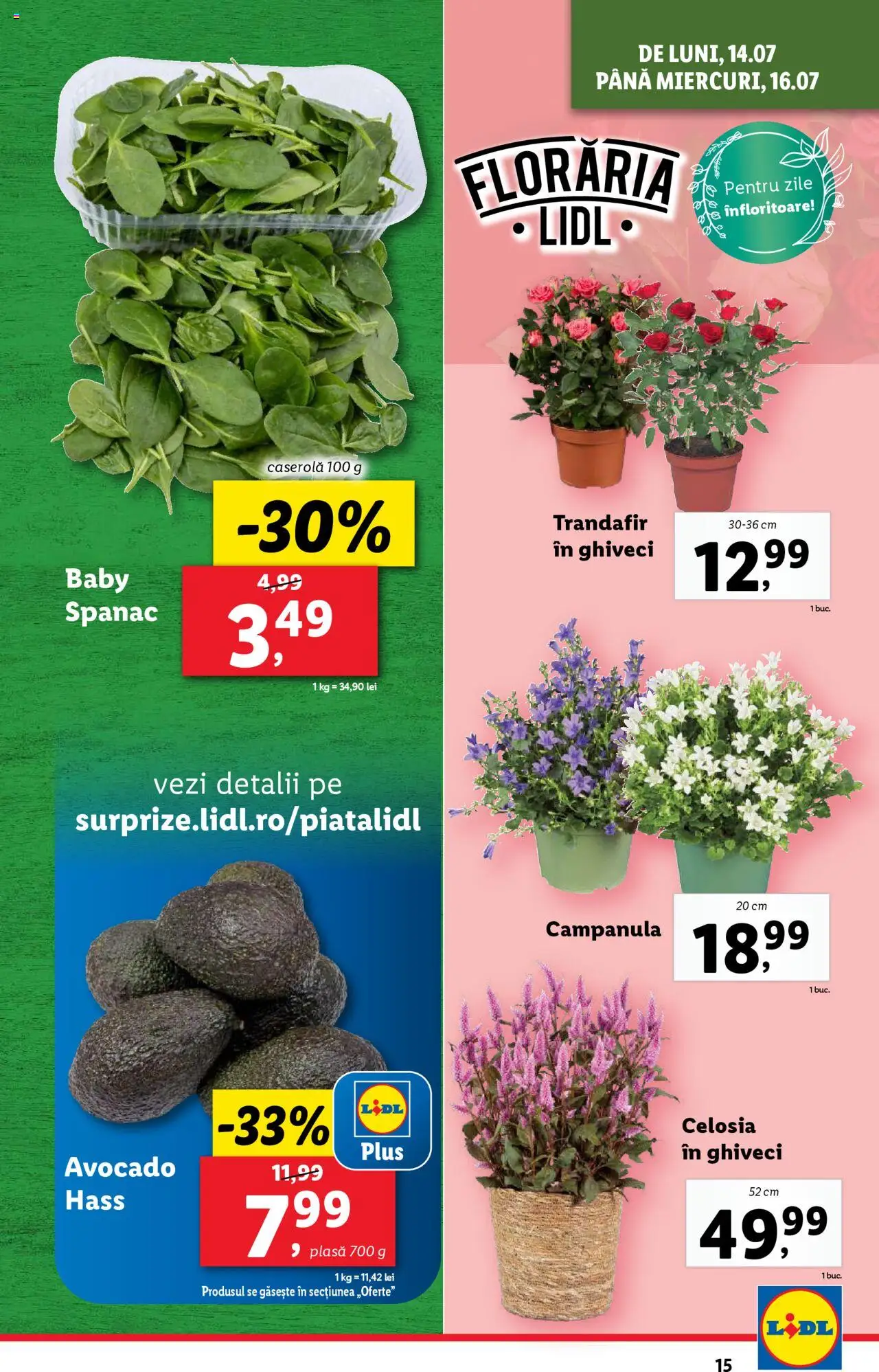 Catalog LIDL 14 - 19 Iulie 2025 | Pagina 15 | Produse: Trandafir, Ghiveci, Avocado