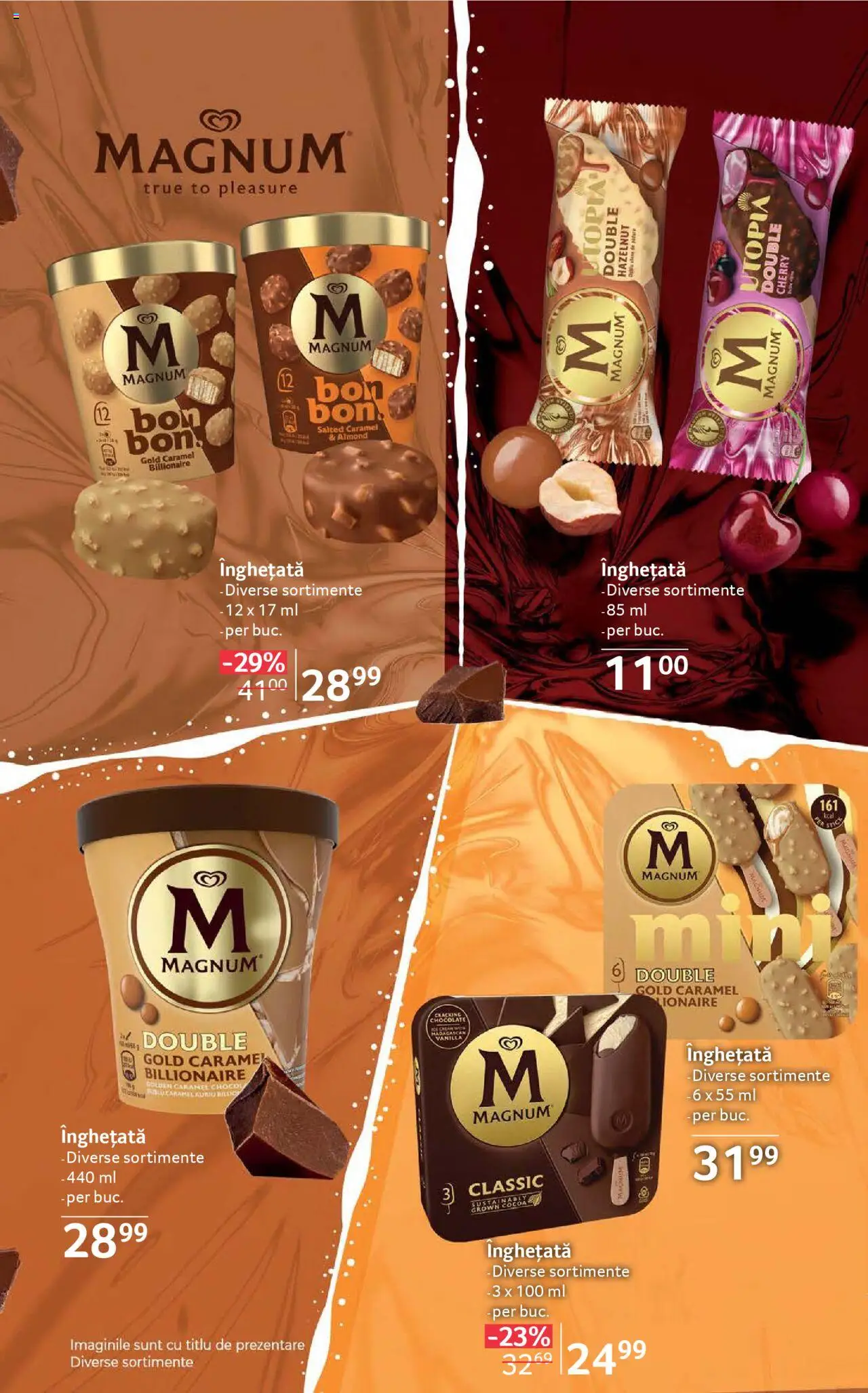 Catalog Selgros 11 - 23 Iulie 2025 | Pagina 13 | Produse: Înghețată