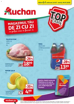 Catalog Auchan