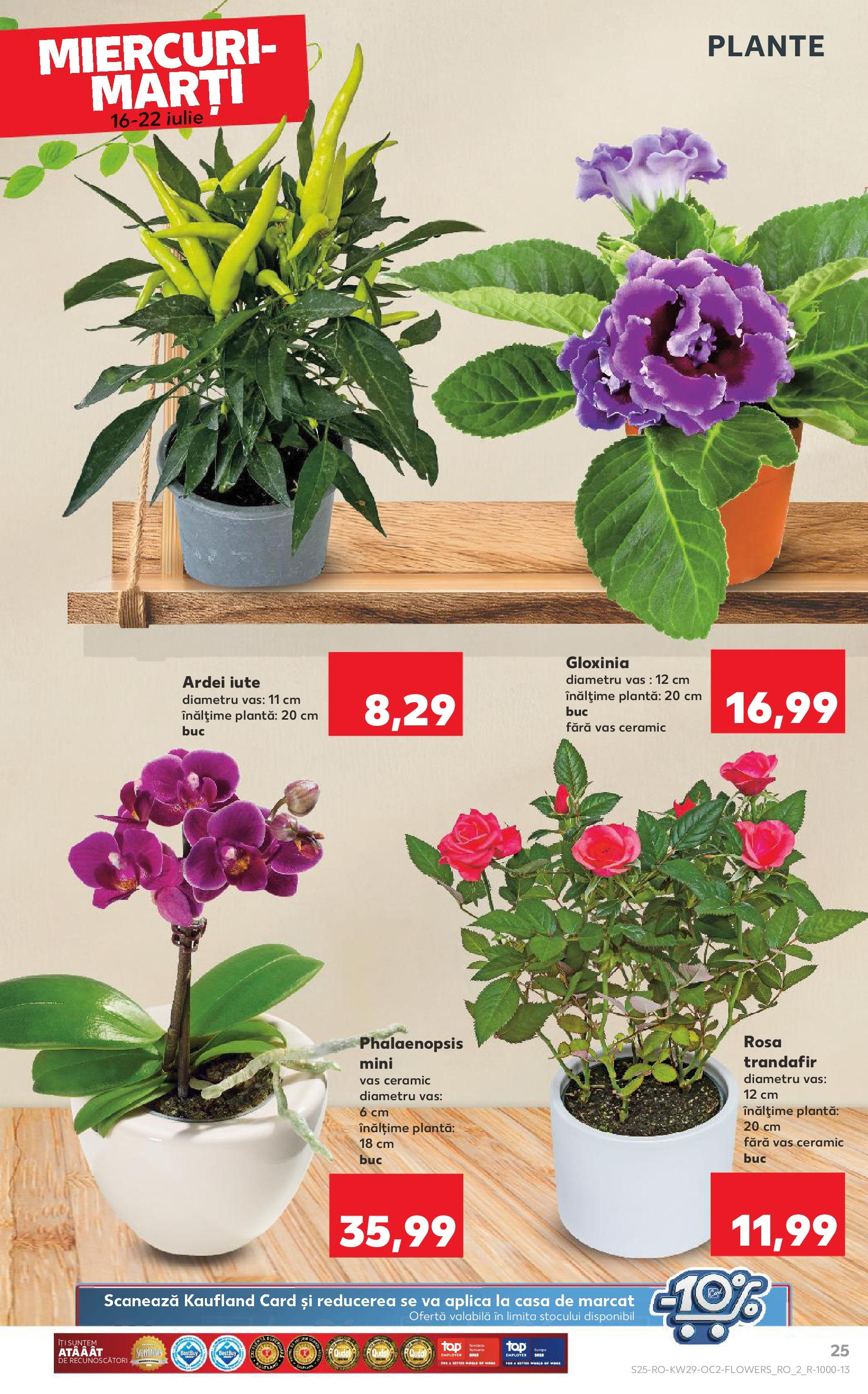 Catalog Kaufland 16 - 21 Iulie 2025 | Pagina 25 | Produse: Trandafir, Ardei, Ardei iute