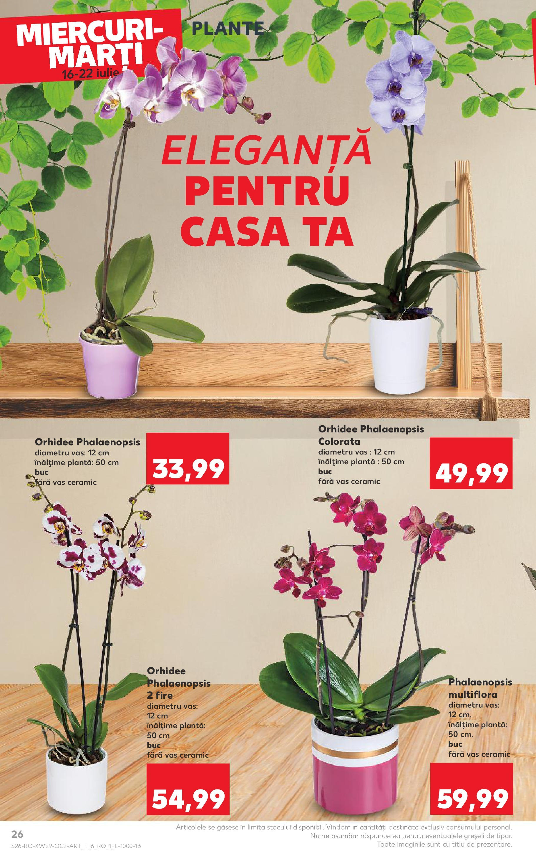 Catalog Kaufland 16 - 21 Iulie 2025 | Pagina 26 | Produse: Orhidee