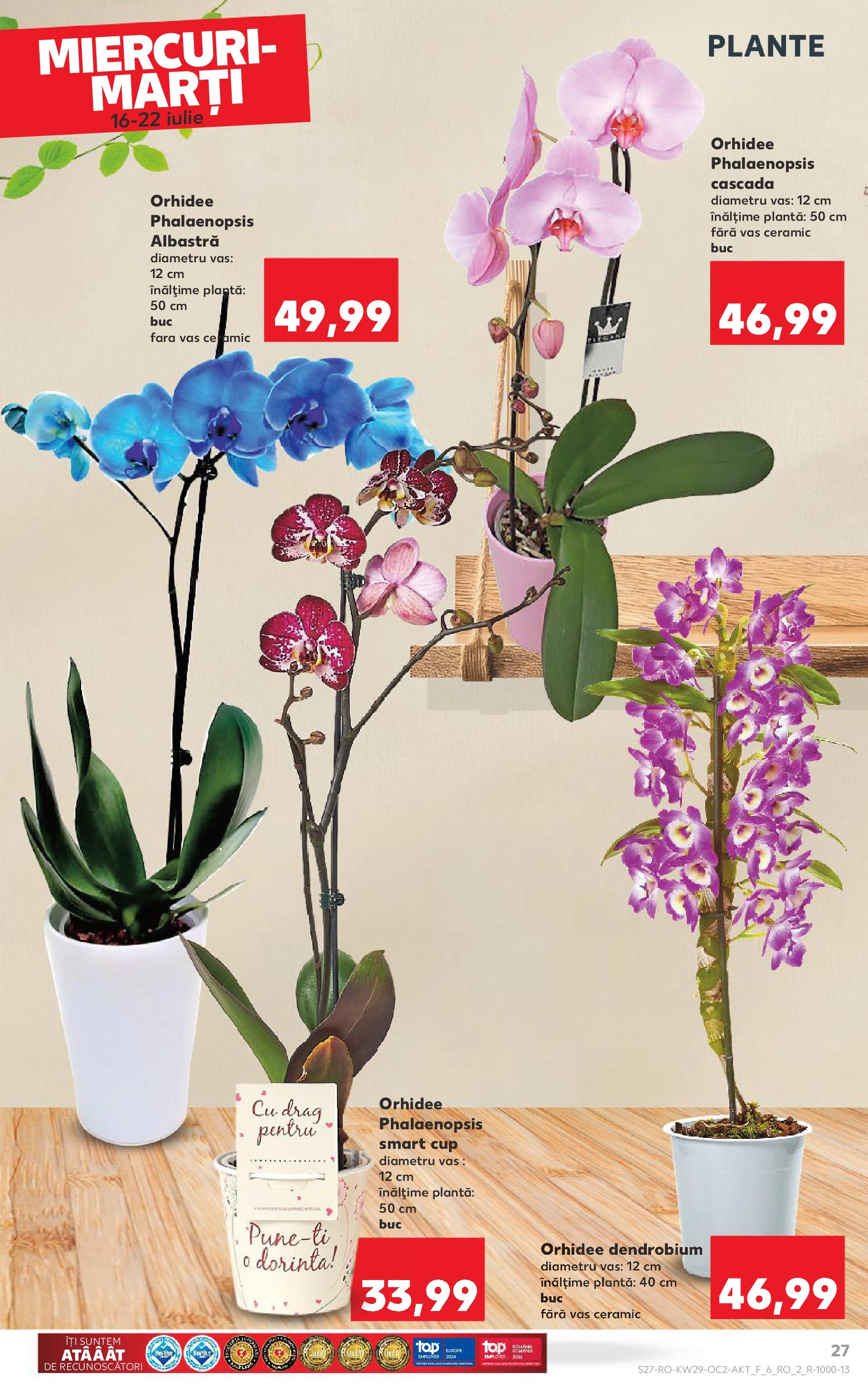 Catalog Kaufland 16 - 21 Iulie 2025 | Pagina 27 | Produse: Orhidee