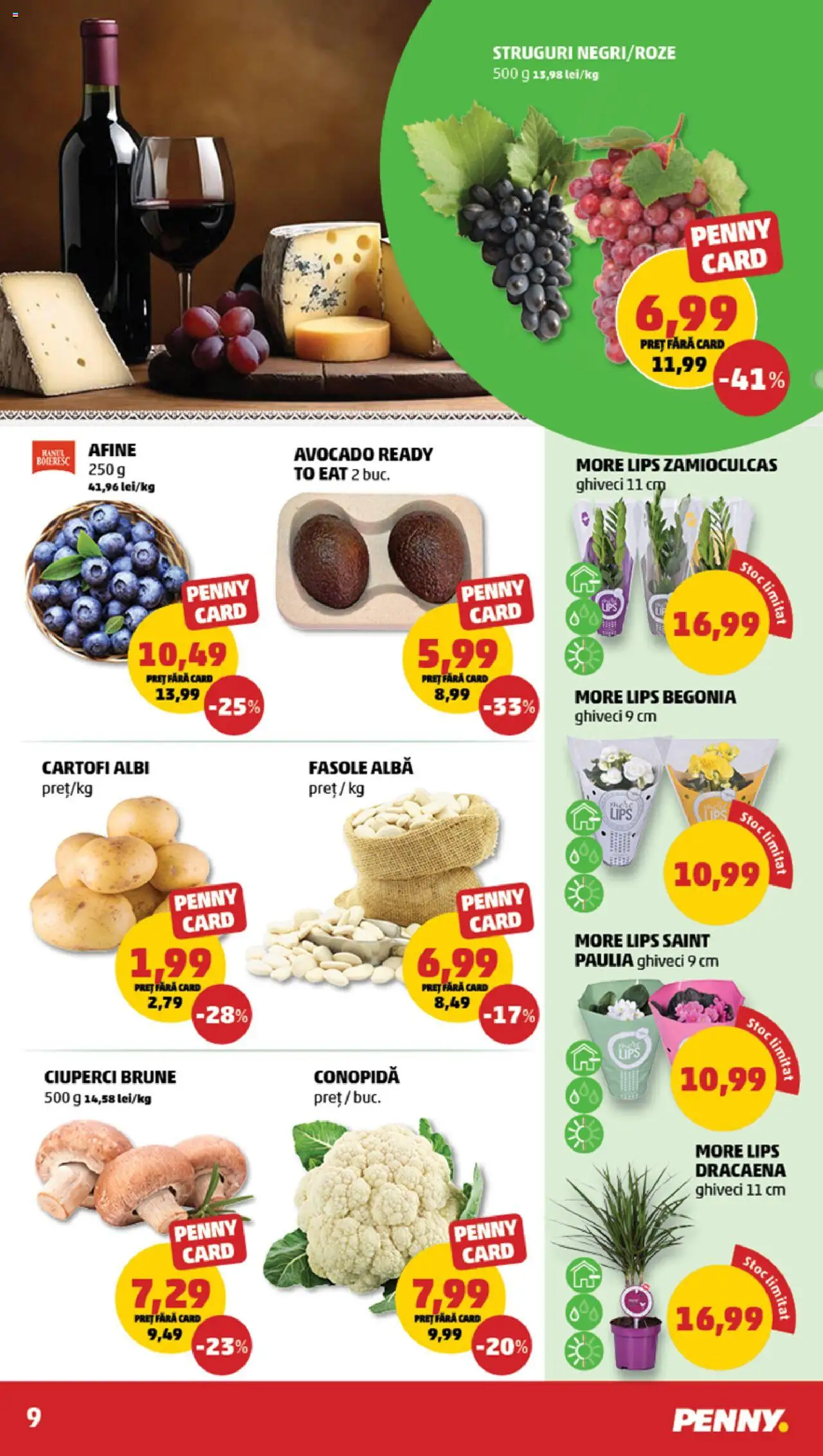 Catalog PENNY Market 16 - 21 Iulie 2025 | Pagina 9 | Produse: Struguri, Afine, Conopidă, Ciuperci