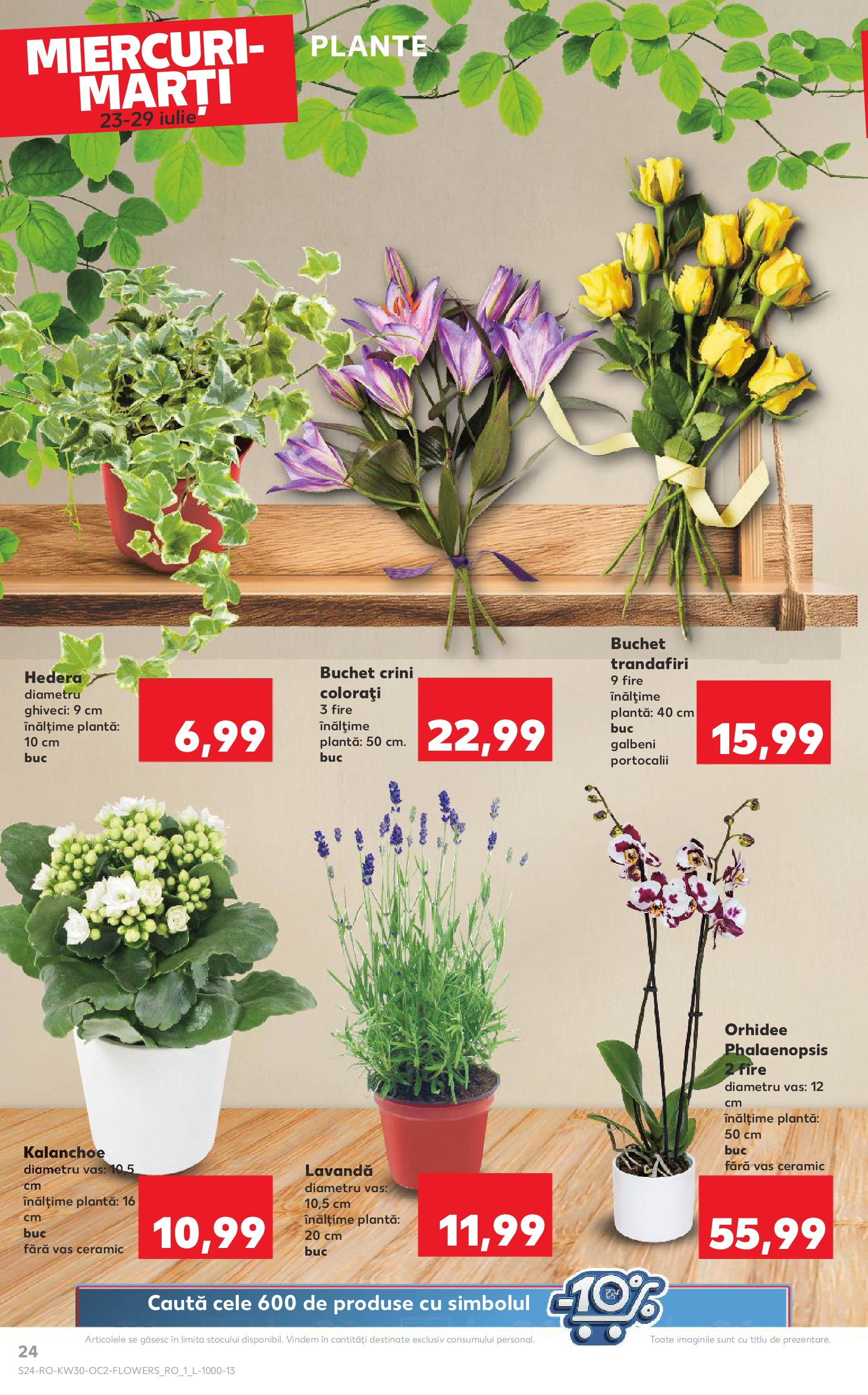 Catalog Kaufland 23 - 28 Iulie 2025 | Pagina 24 | Produse: Orhidee, Ghiveci