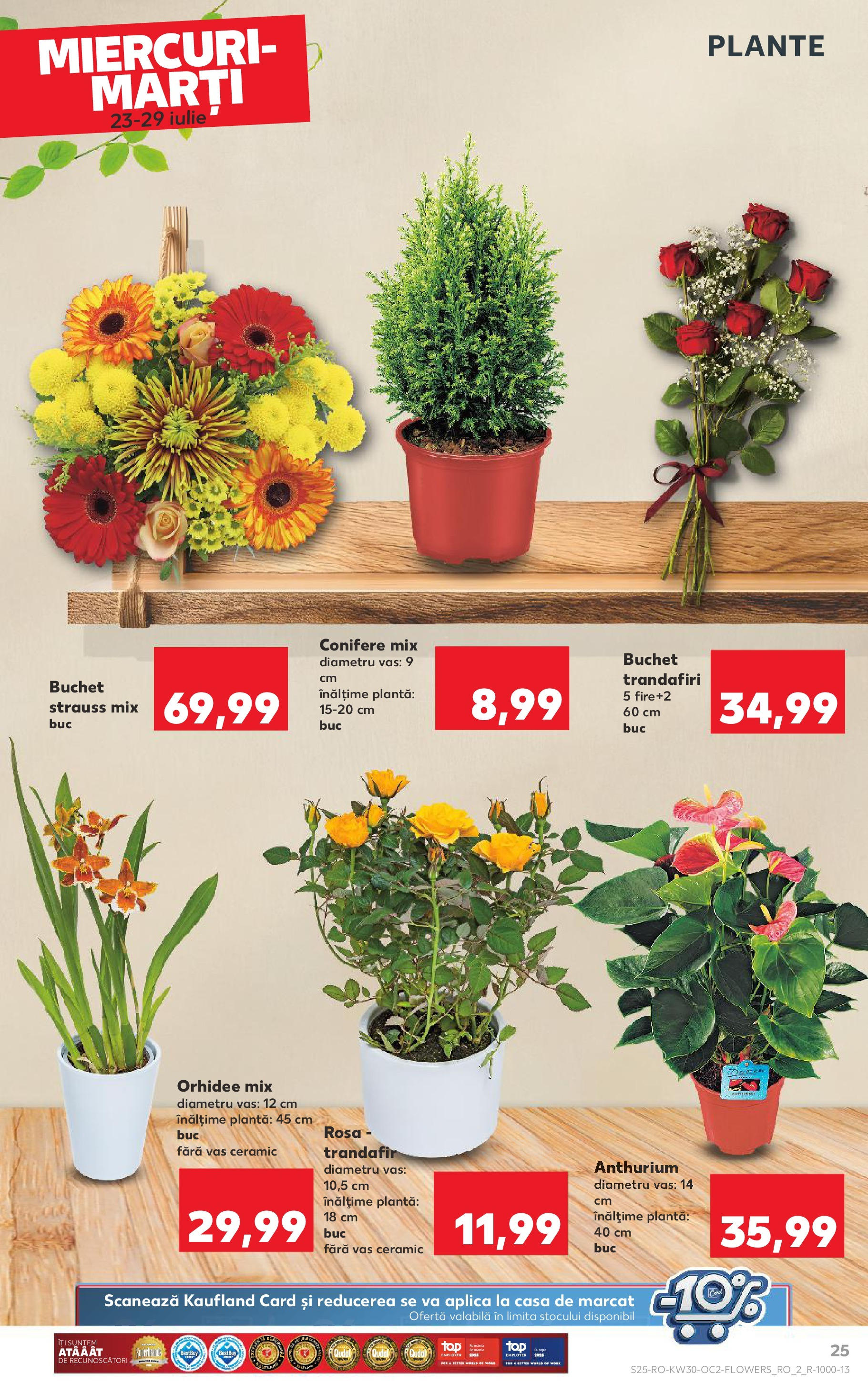 Catalog Kaufland 23 - 28 Iulie 2025 | Pagina 25 | Produse: Trandafir, Orhidee