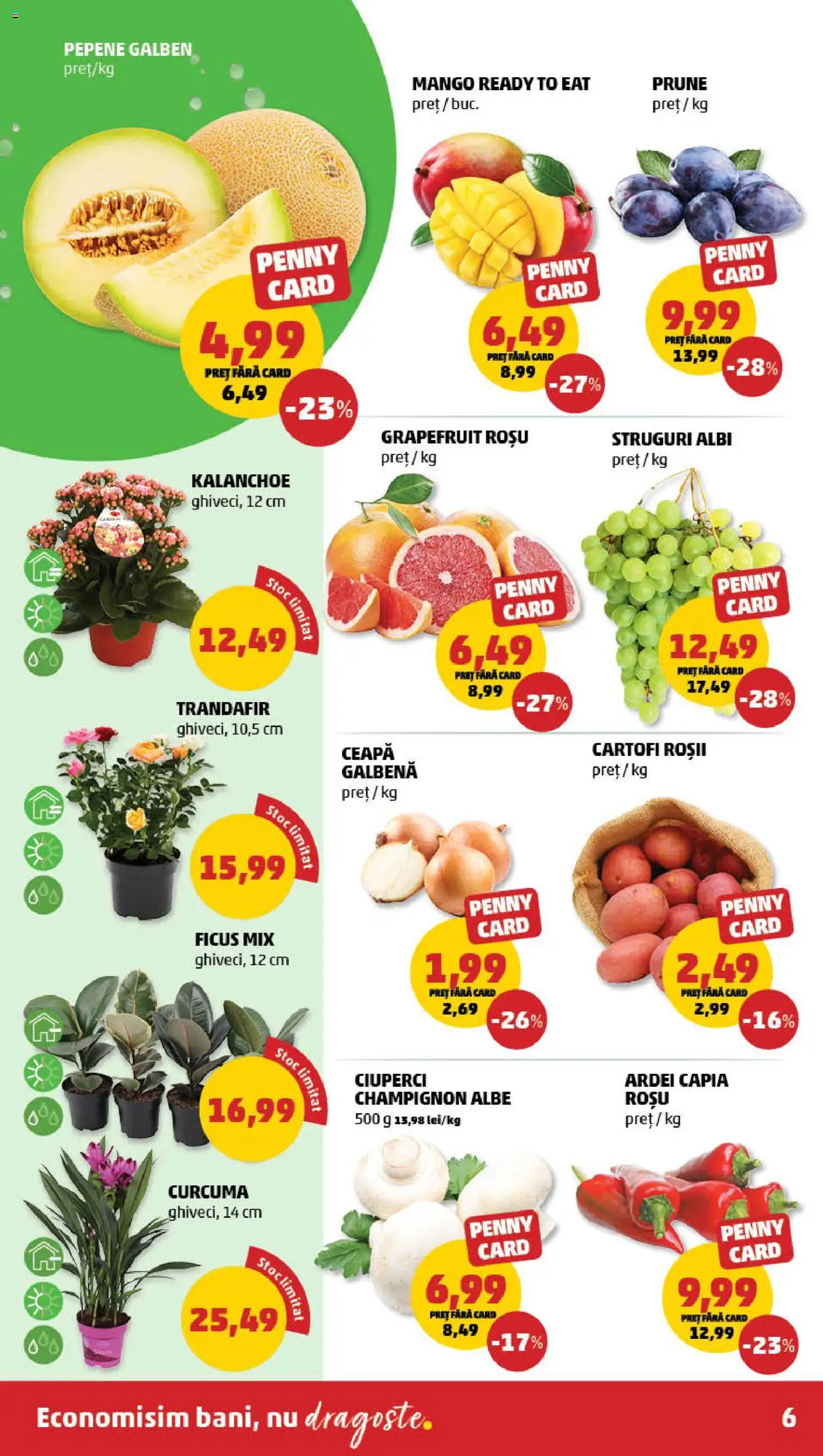 Catalog PENNY Market 23 - 30 Iulie 2025 | Pagina 6 | Produse: Trandafir, Ceapă galbenă, Ciuperci, Prune