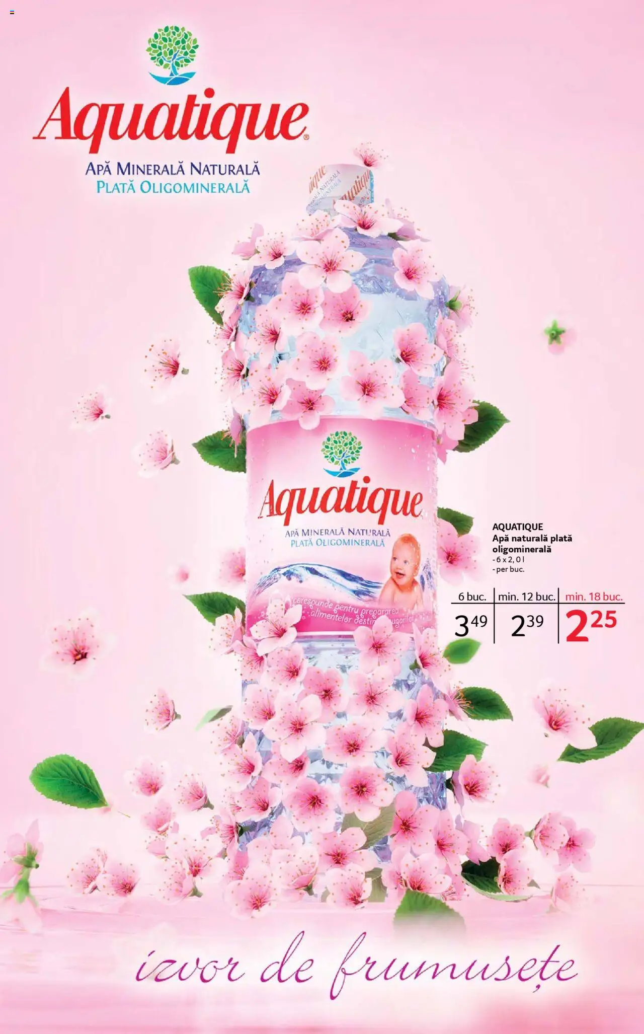 Catalog Selgros 25 - 30 Iulie 2025 | Pagina 21 | Produse: Yazı tahtası kalemi, Apă