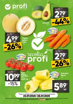 Catalog Profi