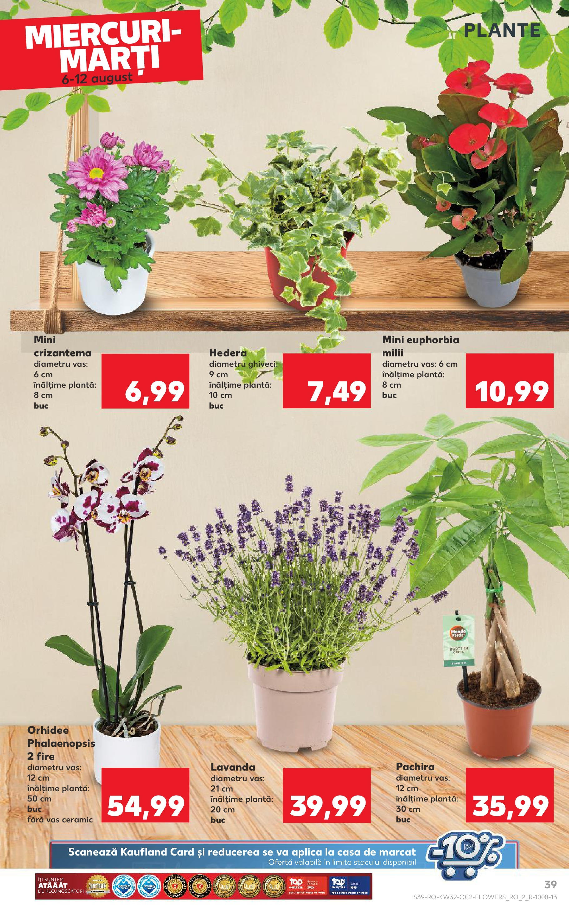 Catalog Kaufland 6 - 11 August 2025 | Pagina 39 | Produse: Orhidee, Ghiveci